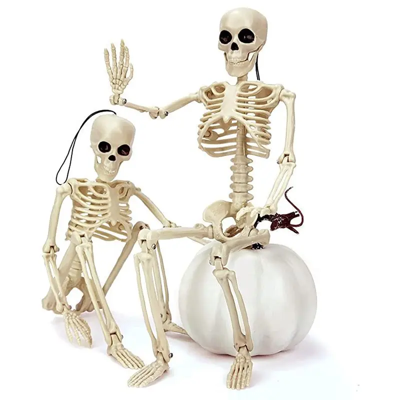 Halloween Movable Skeleton Fake Human Skull Bones Halloween Party Home Bar Decorations Haunted House Horror Props Ornament Toys
Halloween Movable Skeleton Fake Human Skull Bones Halloween Party Home Bar Decorations Haunted House Horror Props Ornament Toys
