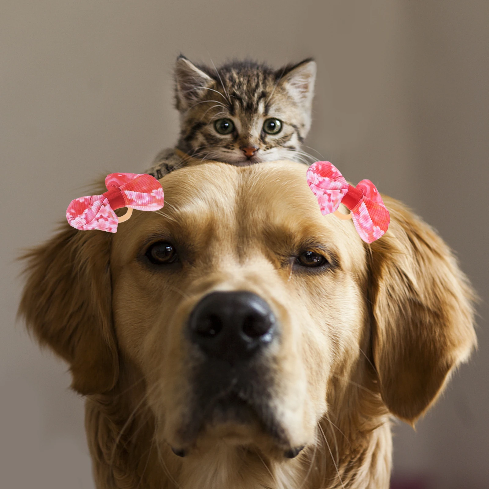 10pcs Pet Hair Dog Topknot Lovely Bows Hair Ties Headwear Bowknot Accessories Durable Pets 
10pcs Pet Hair Dog Topknot Lovely Bows Hair Ties Headwear Bowknot Accessories Durable Pets