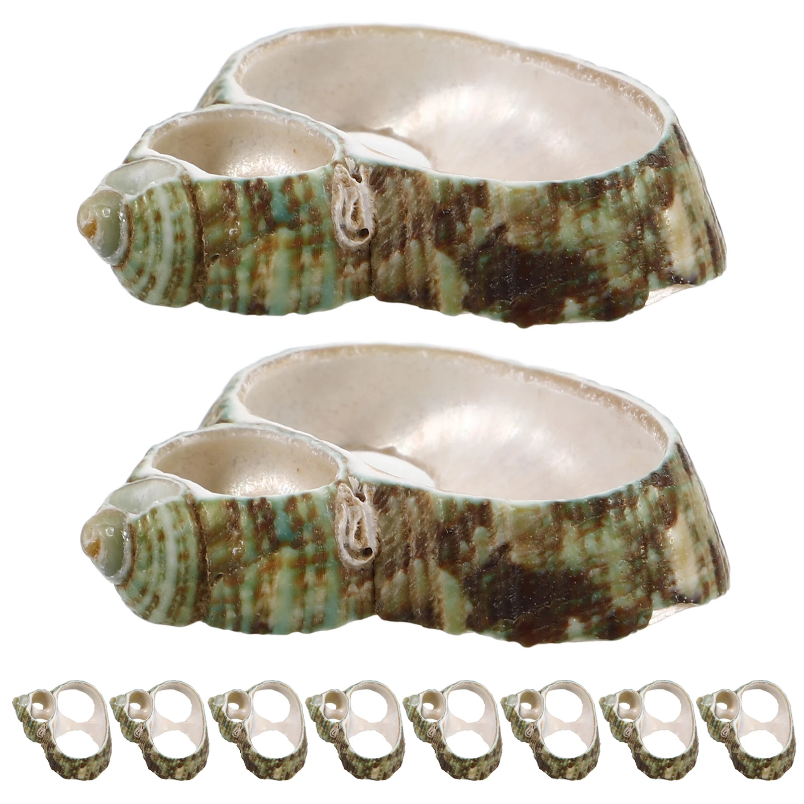 20pcs Shell Slices Natural Seashell Beads For Diy Jewelry Making Craft Supplies Nautical Decor Coastal Art Projects
20pcs Shell Slices Natural Seashell Beads For Diy Jewelry Making Craft Supplies Nautical Decor Coastal Art Projects