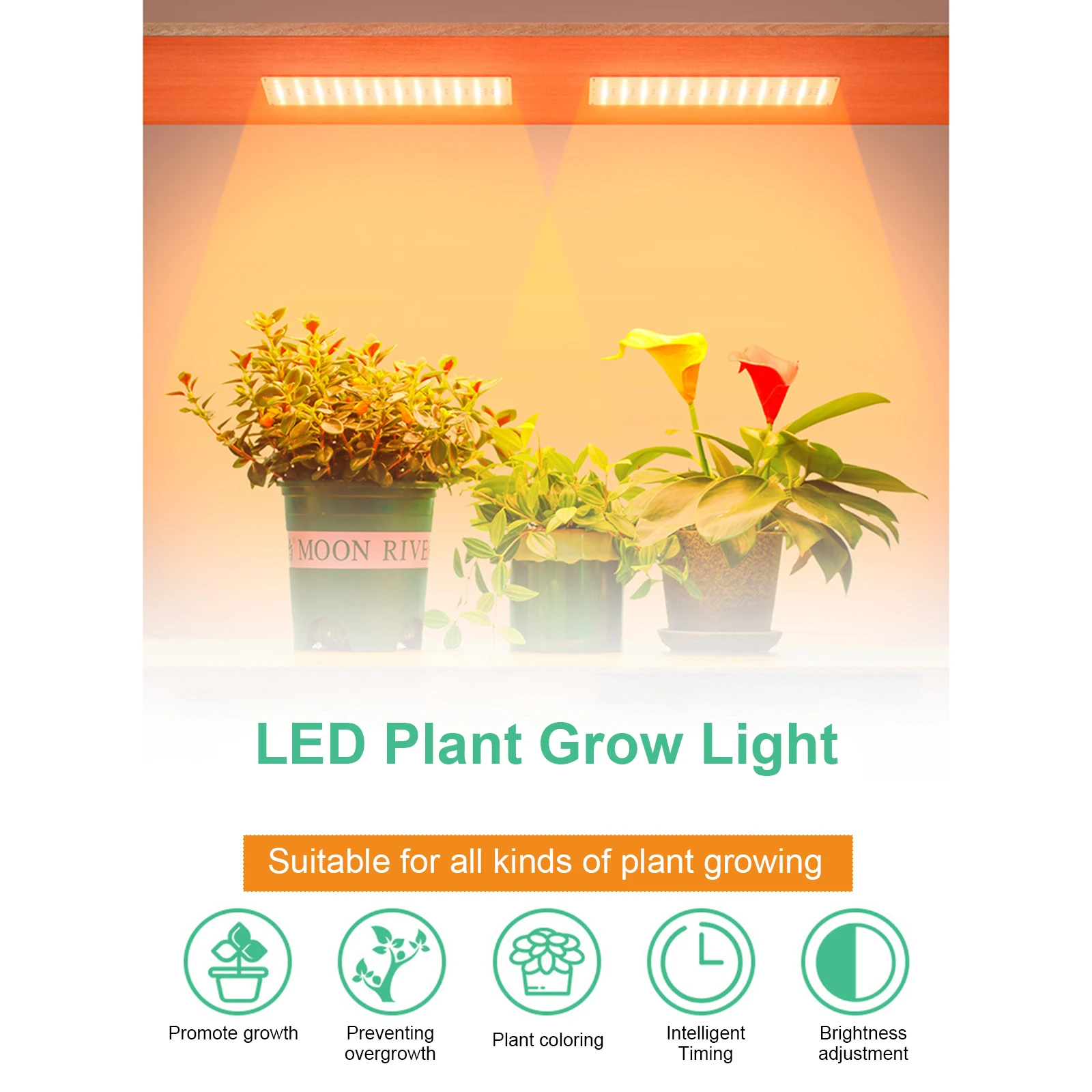 Lighting LED Grow Lights Indoor USB Plant Fill Lights Hanging 5V Plant Lights Full Spectrum LED Plant Growth Light
Lighting LED Grow Lights Indoor USB Plant Fill Lights Hanging 5V Plant Lights Full Spectrum LED Plant Growth Light