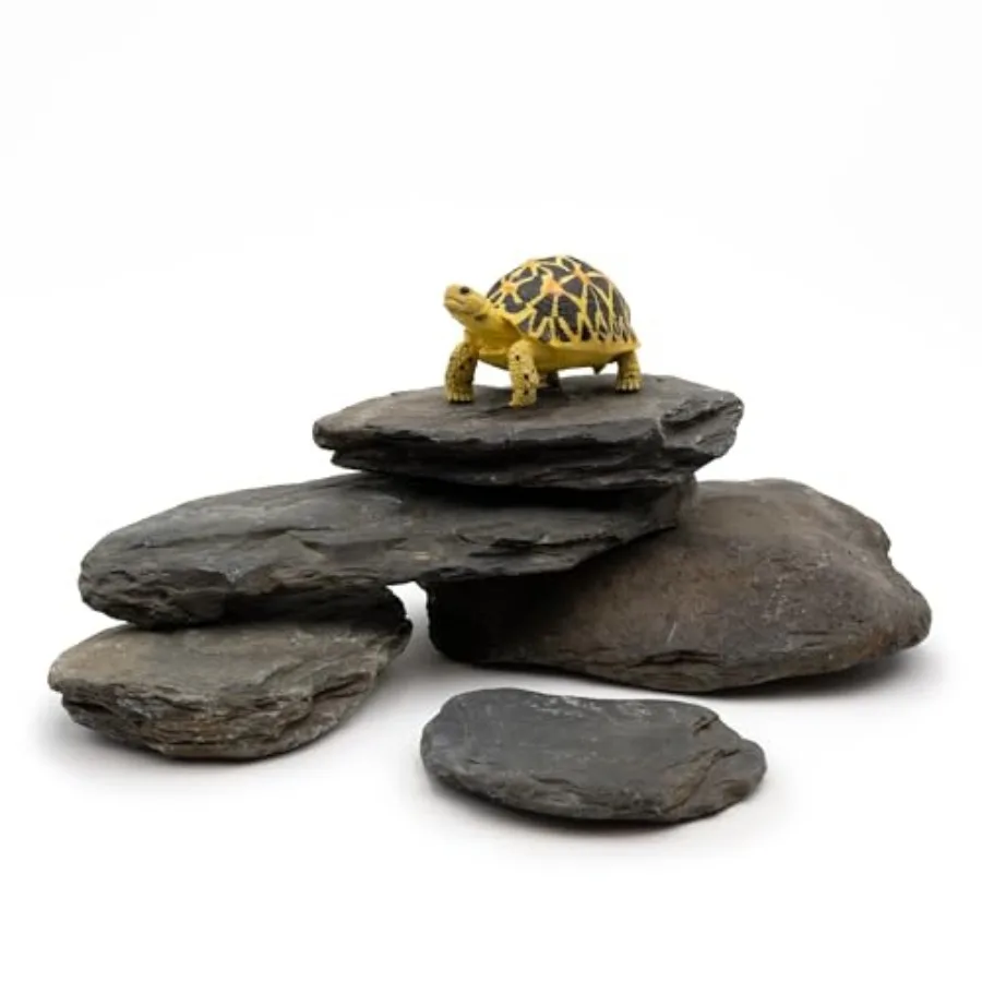 Aquarium Stone Natural Slate Stream Turtle Tank Rocks 3-7 inches Fish Rock for Aquarium Aquascaping Shrimp Tanks Amphibian Encl
Aquarium Stone Natural Slate Stream Turtle Tank Rocks 3-7 inches Fish Rock for Aquarium Aquascaping Shrimp Tanks Amphibian Encl