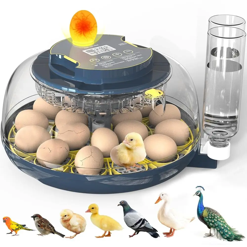 Egg Incubator with 18 Capacity, Candler, Auto Turner, Temperature & Humidity Control, Day Setting, Auto Watering, Dual Size Tray
Egg Incubator with 18 Capacity, Candler, Auto Turner, Temperature & Humidity Control, Day Setting, Auto Watering, Dual Size Tray