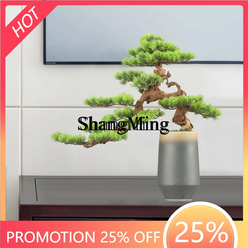 CL Simulation Welcome Pine Bonsai Ornament ModelDesktop Entrance Sales Office Front Desk Soft Decoration
CL Simulation Welcome Pine Bonsai Ornament ModelDesktop Entrance Sales Office Front Desk Soft Decoration