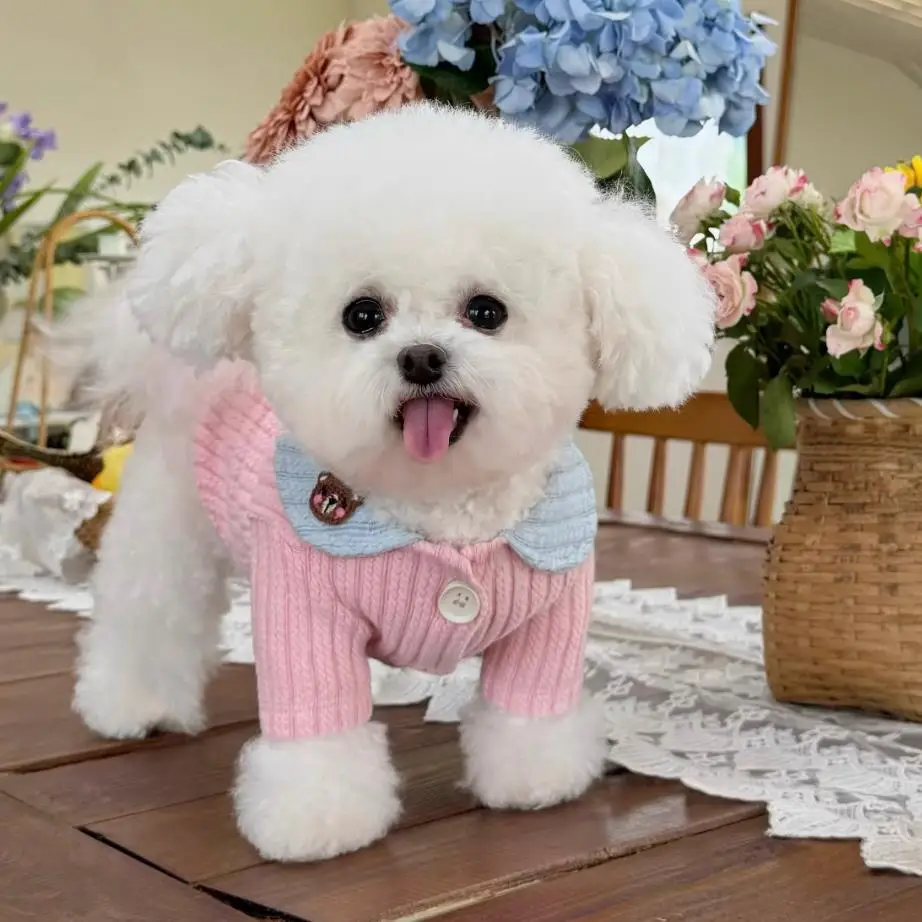 Winter Dog Soft Coat Jacket Small Dog Costume Outfit Pomeranian Bichon Poodle Schnauzer Cat Dog Clothing Pet Apparel Garment
Winter Dog Soft Coat Jacket Small Dog Costume Outfit Pomeranian Bichon Poodle Schnauzer Cat Dog Clothing Pet Apparel Garment
