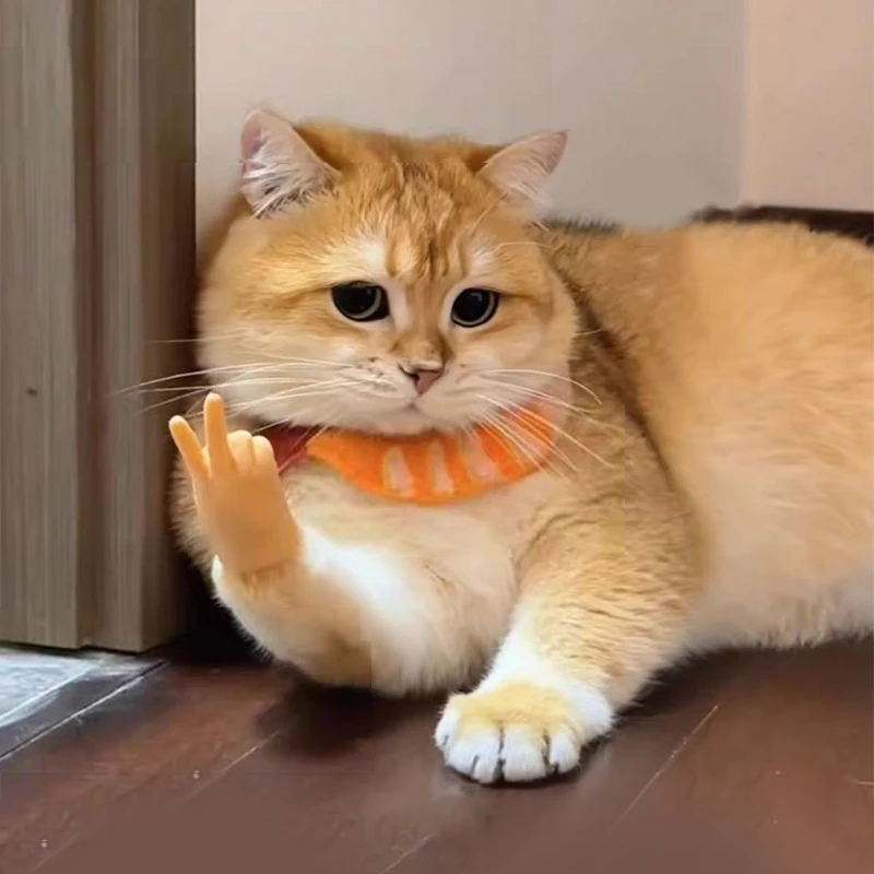 Funny Cat Interactive Gesture Toys Mini Teasing Cat Finger Human Fake Gloves Pet Toys Supplies Creative Pet Cat Teasing Toys
Funny Cat Interactive Gesture Toys Mini Teasing Cat Finger Human Fake Gloves Pet Toys Supplies Creative Pet Cat Teasing Toys