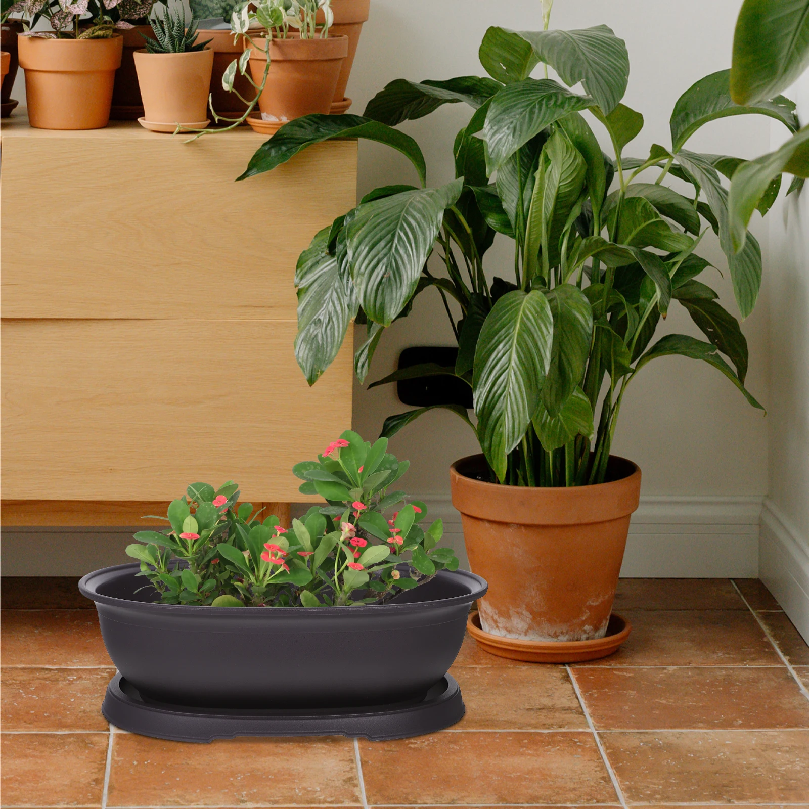 Oval Plant Pot Plastic Succulent Planter with Saucer for Garden Indoor Balcony Decoration Simple Shaped Versatile Match Plants
Oval Plant Pot Plastic Succulent Planter with Saucer for Garden Indoor Balcony Decoration Simple Shaped Versatile Match Plants