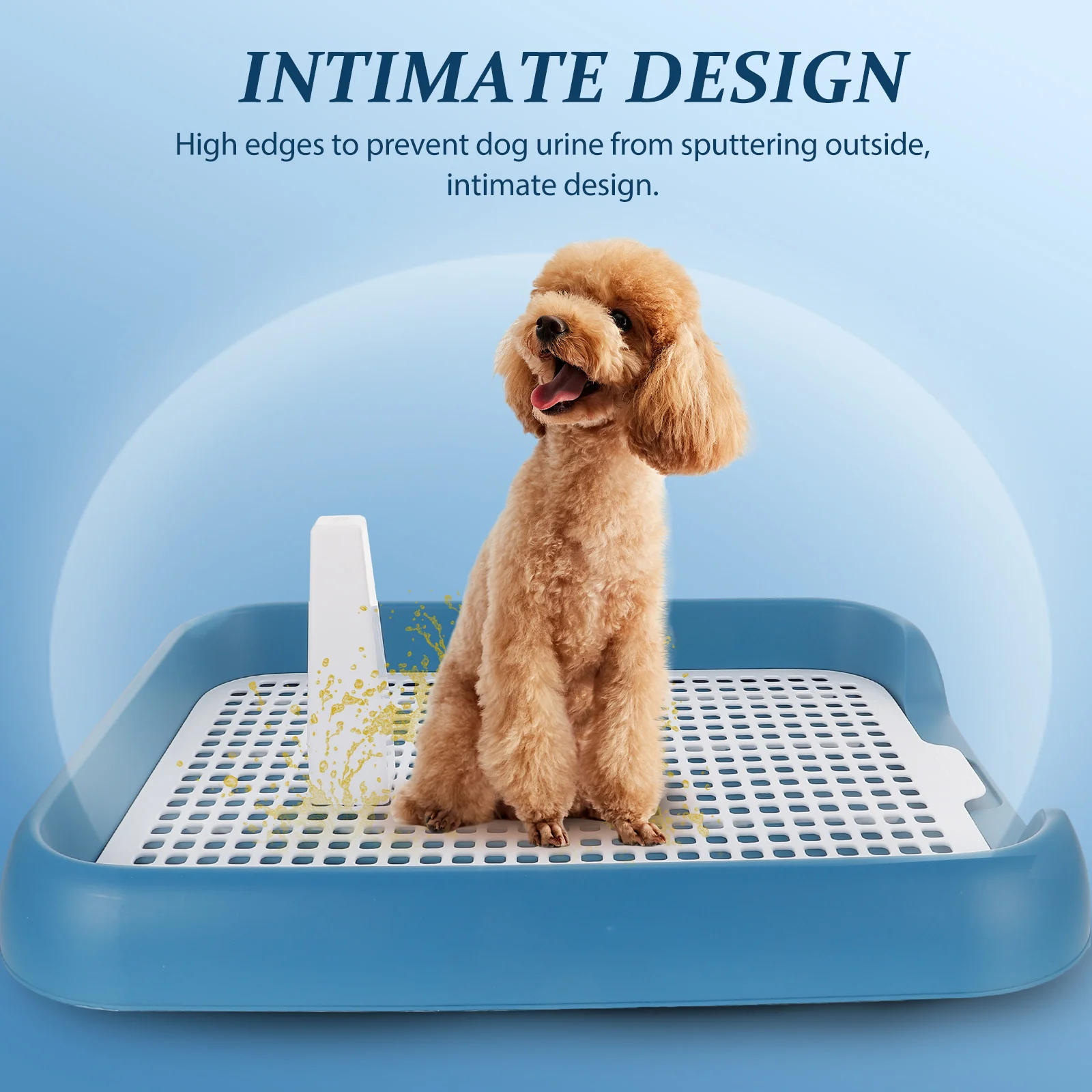 Dog Toilet Tray for Indoor Pets Lightweight Durable PP Material Blue Color Mesh Design Anti Slip Portable Potty System Easy Wash
Dog Toilet Tray for Indoor Pets Lightweight Durable PP Material Blue Color Mesh Design Anti Slip Portable Potty System Easy Wash