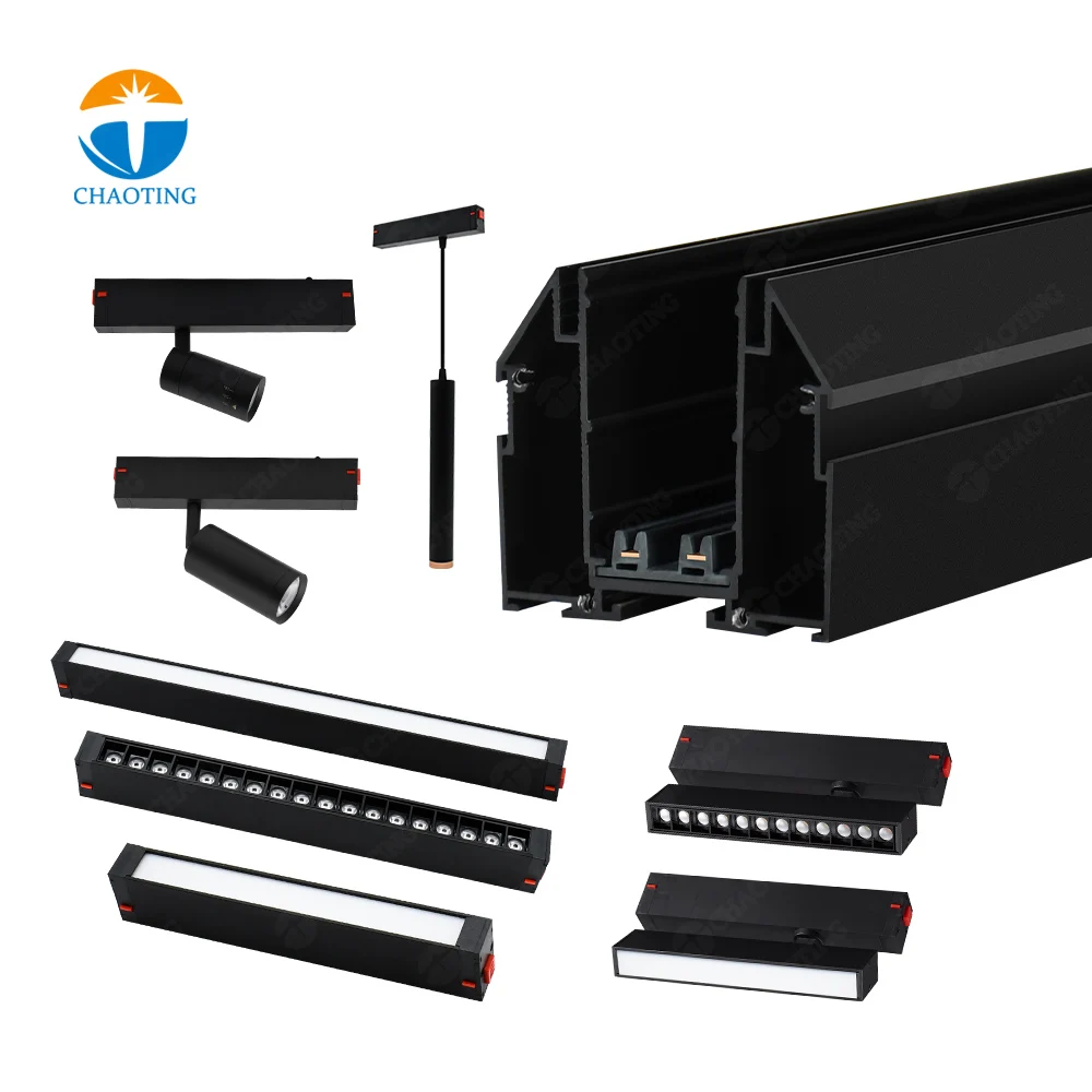 Showroom Shops Black White Strong AC220V DC48V Flush Mounted COB Led Magnetic Track Light Rail For Russia Fabric Stretch Ceiling
Showroom Shops Black White Strong AC220V DC48V Flush Mounted COB Led Magnetic Track Light Rail For Russia Fabric Stretch Ceiling