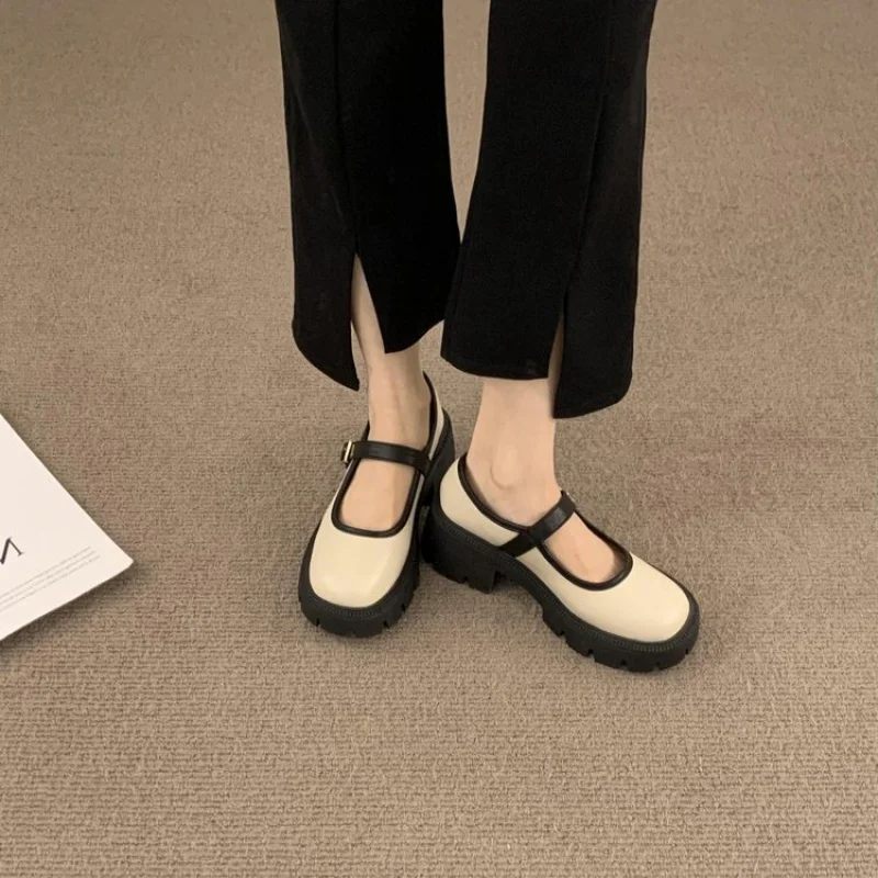 2026 New Women's Mary Jane Shoes French Retro Chunky Sole Round Toe Flat Lolita Leather Shoes for Women Daily Casual Slip On
2026 New Women's Mary Jane Shoes French Retro Chunky Sole Round Toe Flat Lolita Leather Shoes for Women Daily Casual Slip On