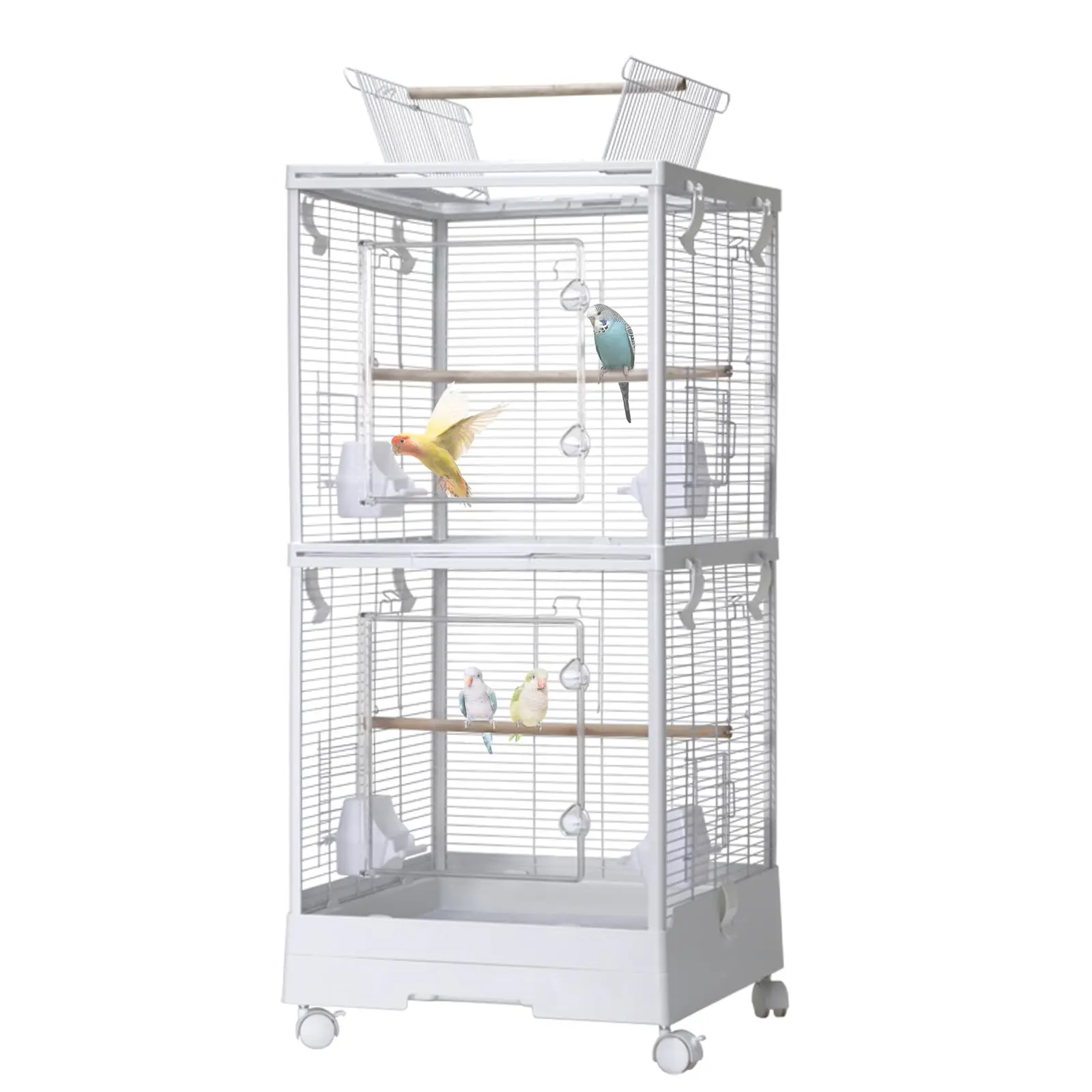 Double-Layer Removable Bird Cage with Play Roof, Rolling Wheels, Perches, Drip Cup, Removable Tray, Spacious 40 Inch Aviary for Budgerigars, Parakeets, Canaries, Small Parrots
Double-Layer Removable Bird Cage with Play Roof, Rolling Wheels, Perches, Drip Cup, Removable Tray, Spacious 40 Inch Aviary for Budgerigars, Parakeets, Canaries, Small Parrots