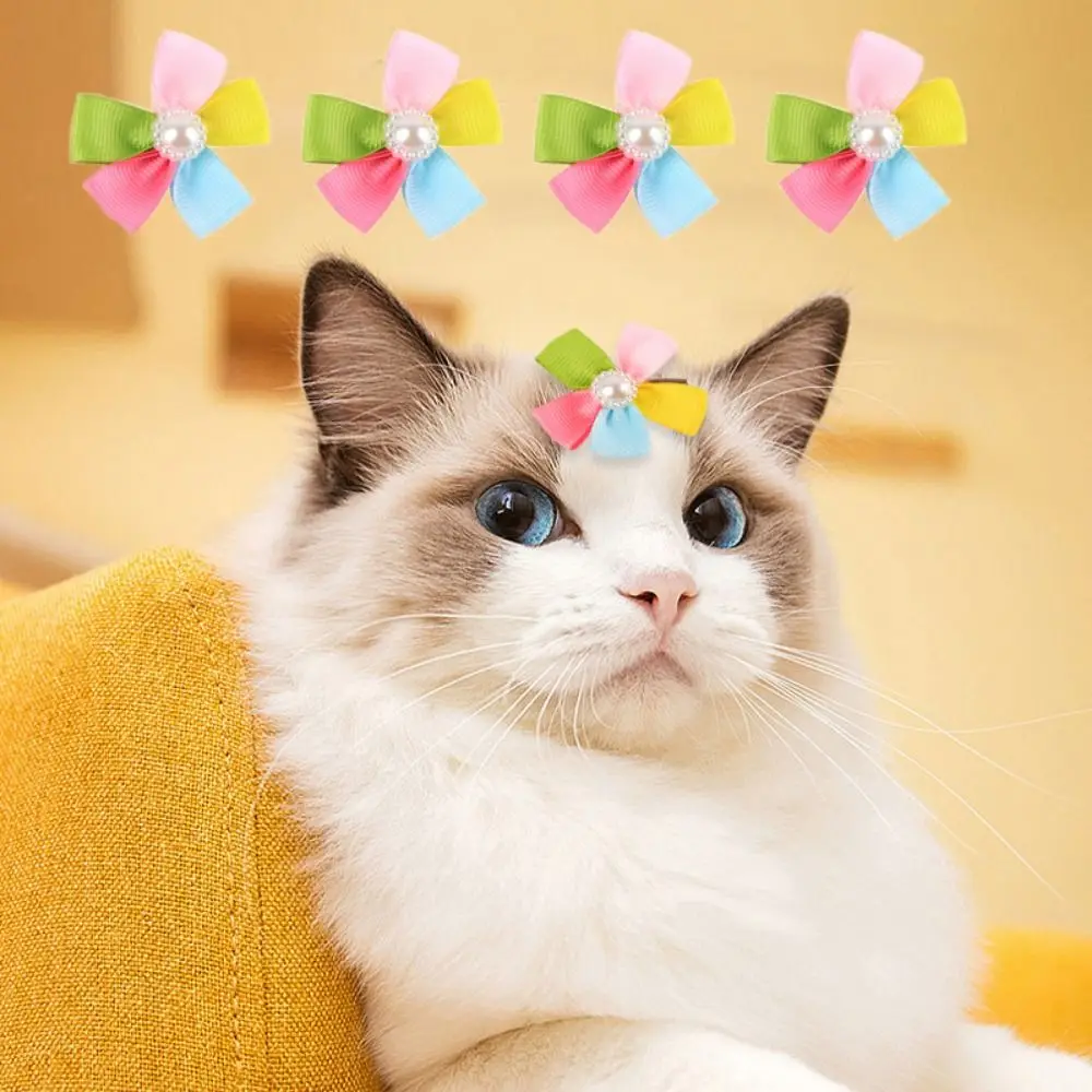 10pcs Colorful Flowers Pet Hairpin Five Petal Flower with Pearl Pet Hair Clip Exquisite Dogs Headwear Pet Hair Accessories
10pcs Colorful Flowers Pet Hairpin Five Petal Flower with Pearl Pet Hair Clip Exquisite Dogs Headwear Pet Hair Accessories