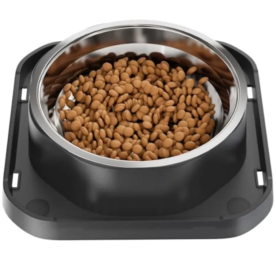 Stainless Steel Dog Bowls Spill Proof Basic Dogs Bowls for Small Dogs Cats 2 Cup Dog Food and Water Bowl Non-Slip Puppy Feeder
Stainless Steel Dog Bowls Spill Proof Basic Dogs Bowls for Small Dogs Cats 2 Cup Dog Food and Water Bowl Non-Slip Puppy Feeder