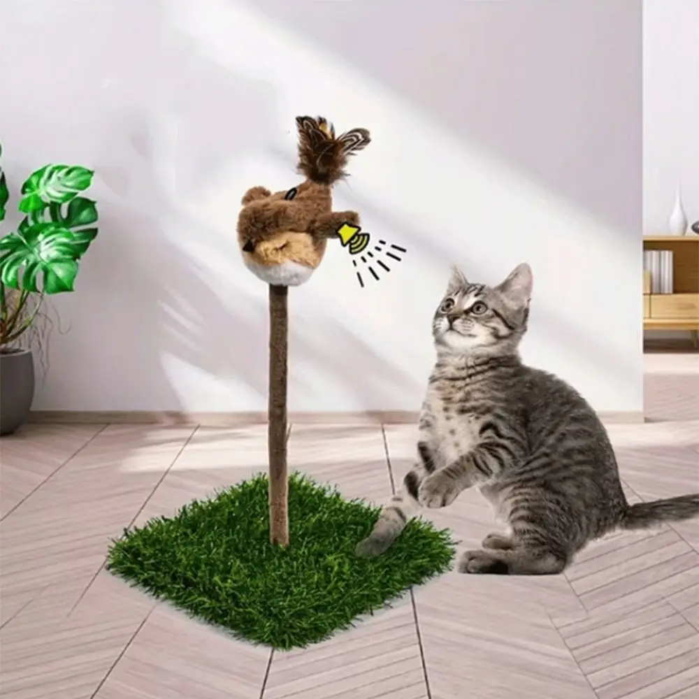 Creative Cat Scratching Tray Plush Sparrow Self-Hilarious Cat Spring Toy Bite Resistant Durable Teasing Cat Sounds Toy
Creative Cat Scratching Tray Plush Sparrow Self-Hilarious Cat Spring Toy Bite Resistant Durable Teasing Cat Sounds Toy