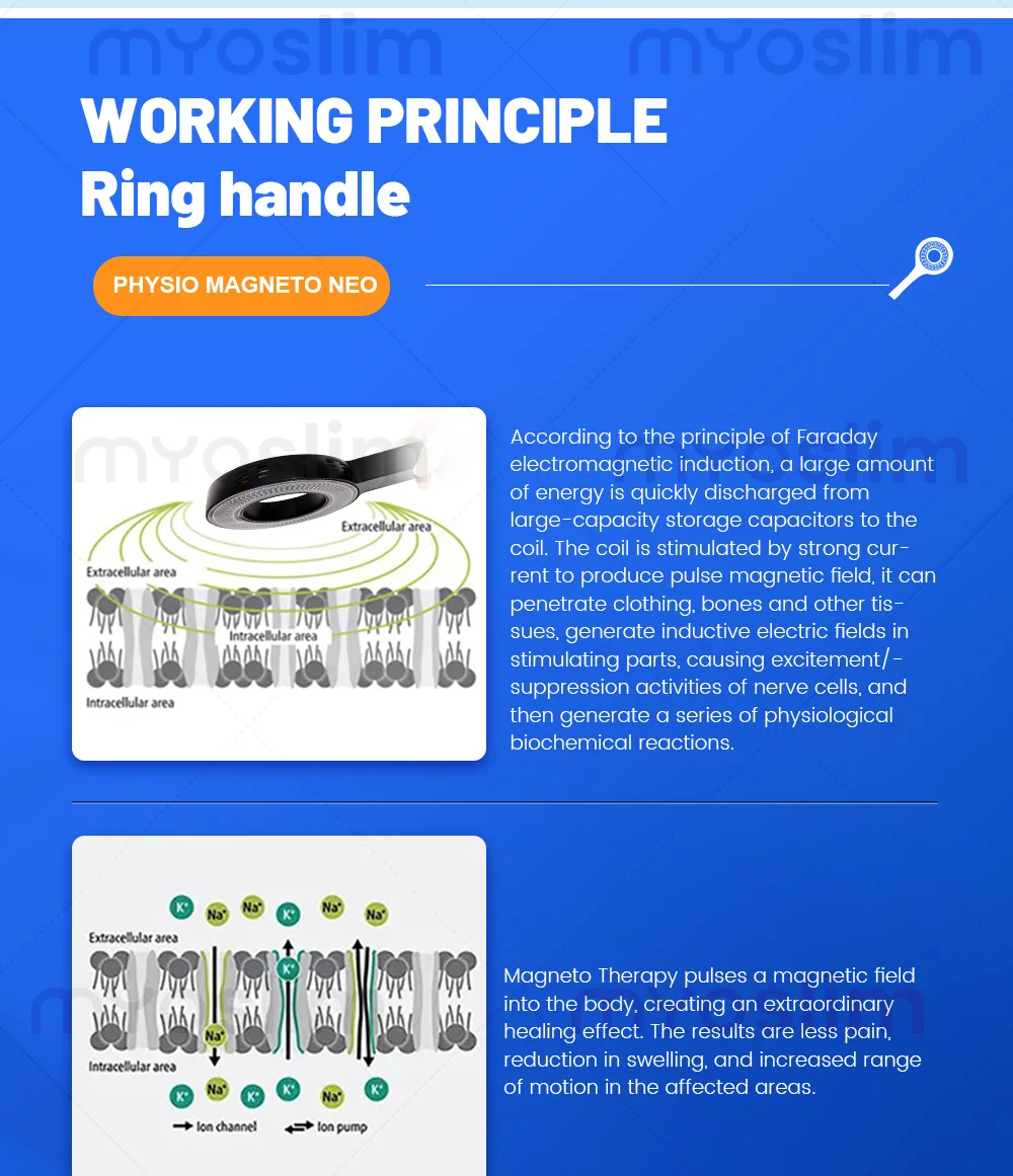 MYOslim: Магнитотерапия послеоперационного восстановления, электромагнитная трансдукционная терапия, стимуляция магнитным полем, восстановление после травм
MYOslim: Магнитотерапия послеоперационного восстановления, электромагнитная трансдукционная терапия, стимуляция магнитным полем, восстановление после травм