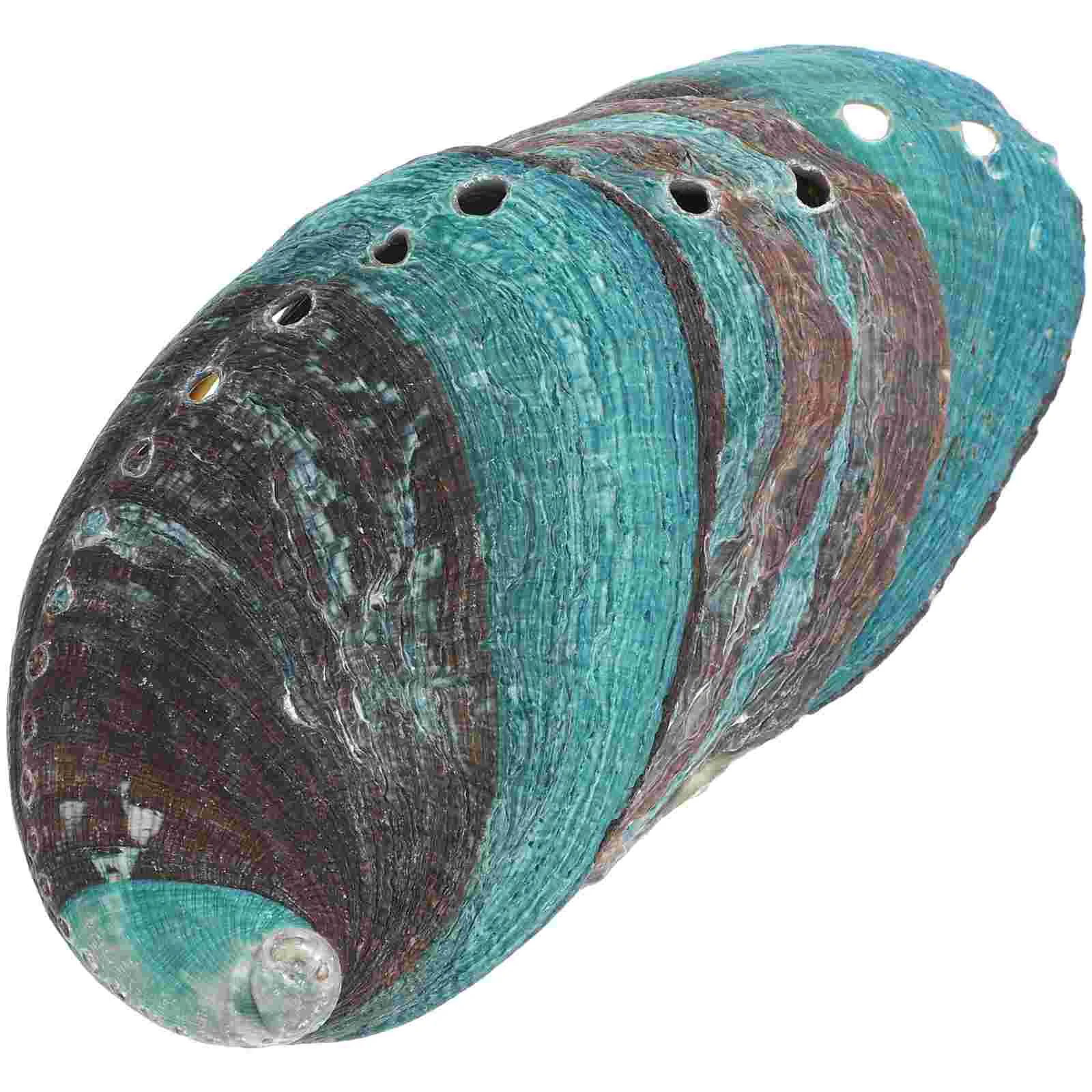 3 Pcs Product Natural Shell Abalone Decorative Ornaments Sink Tray Seashells Bowl for Smudging
3 Pcs Product Natural Shell Abalone Decorative Ornaments Sink Tray Seashells Bowl for Smudging