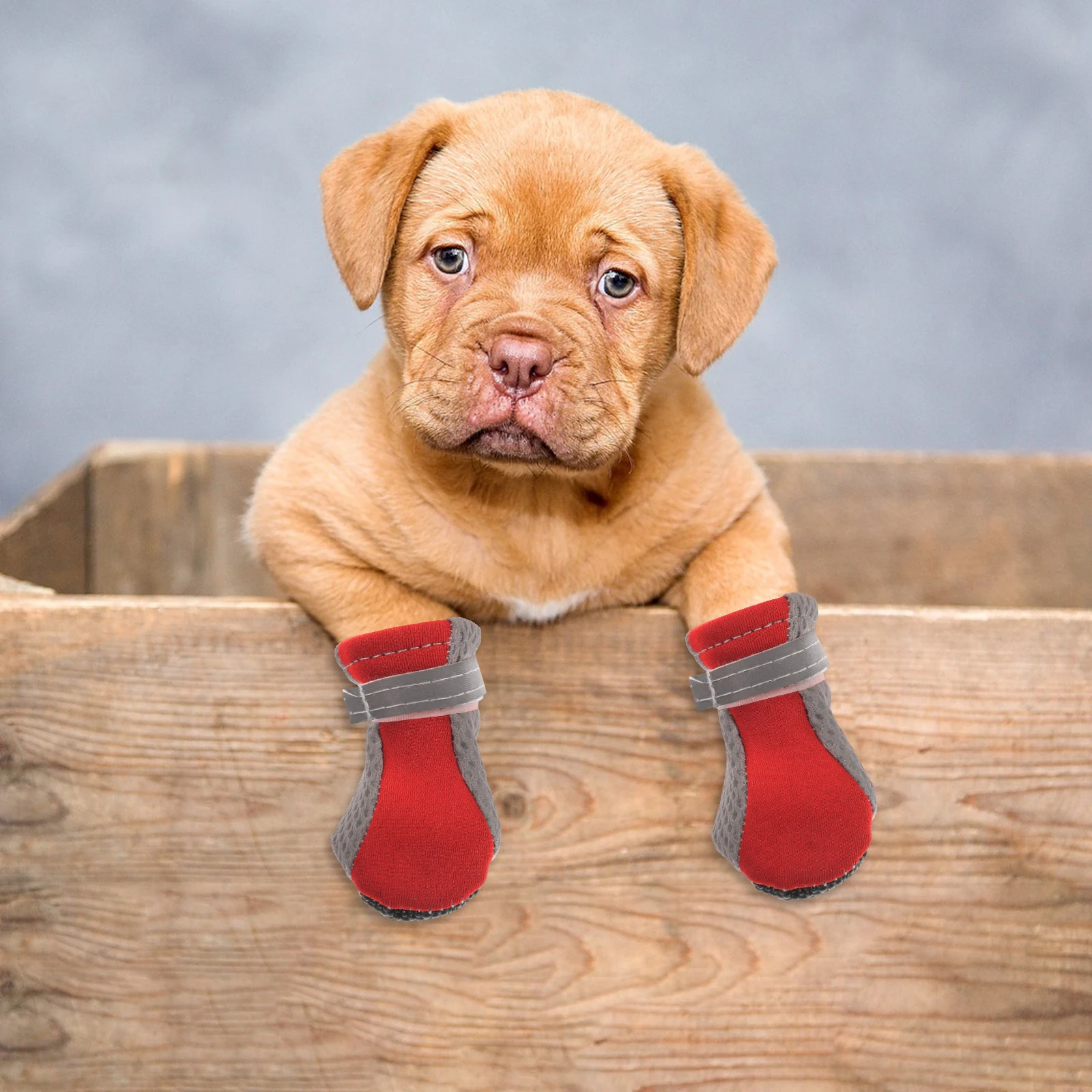 4Pcs Puppy Mesh Foot Cover Small Dog Shoes Soft-soled Non-slip Outdoor Protective Cat Blue S Dog Socks Breathable Anti-slip Pet
4Pcs Puppy Mesh Foot Cover Small Dog Shoes Soft-soled Non-slip Outdoor Protective Cat Blue S Dog Socks Breathable Anti-slip Pet