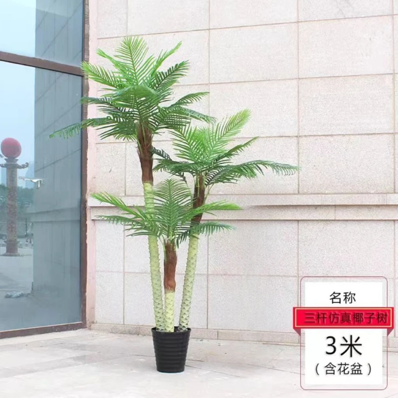 Tall Coconut Palm - Triple Phoenix Palm- Perfect for Patio, Poolside, Home Indoor Aesthetic Decor
Tall Coconut Palm - Triple Phoenix Palm- Perfect for Patio, Poolside, Home Indoor Aesthetic Decor