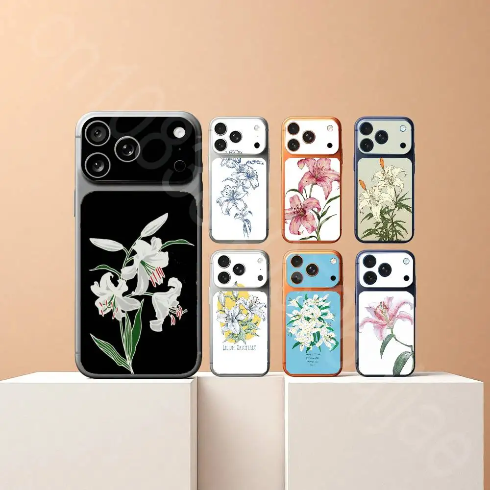 Lirios For iPhone 17Pro or 17ProMax Battry Back Cover with Camera Decal Skin Rear Protective Sticker Film