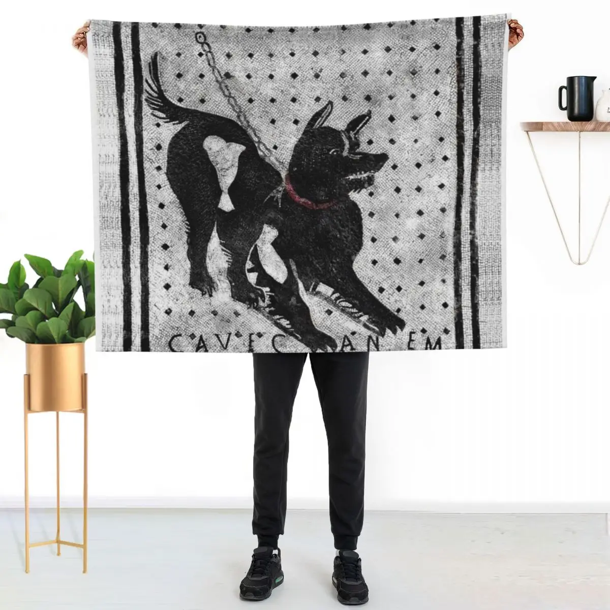 Cave Canem - Beware of Dog - Pompeii Latin Mosaic Throw Blanket Wrinkle Resistant Lightweight Blanket
Cave Canem - Beware of Dog - Pompeii Latin Mosaic Throw Blanket Wrinkle Resistant Lightweight Blanket