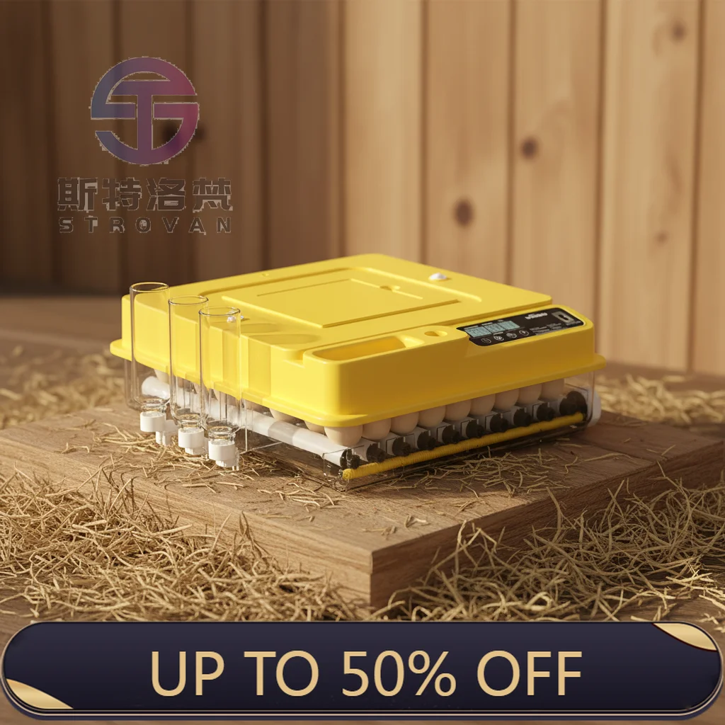 Automatic 72 Chicken Egg Incubator Lightweight and High Efficiency for Daily Use
Automatic 72 Chicken Egg Incubator Lightweight and High Efficiency for Daily Use