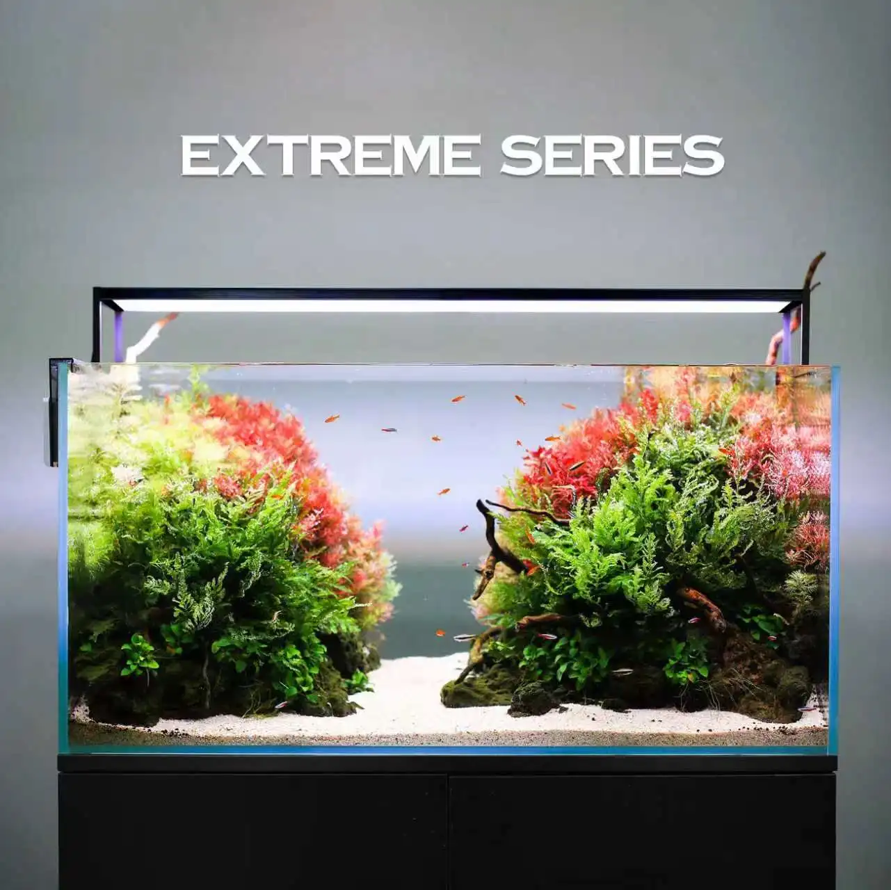 Extreme Sunrise set 45cm-50cm Fish Tank Full Spectrum planted Lighting LED Light Aquarium Decoration Aquatic Plant Growth Lamp
Extreme Sunrise set 45cm-50cm Fish Tank Full Spectrum planted Lighting LED Light Aquarium Decoration Aquatic Plant Growth Lamp
