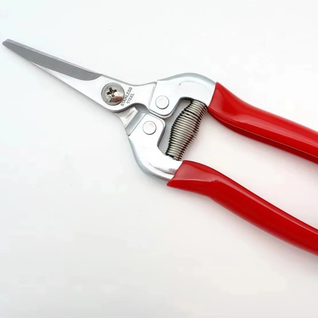 Stainless Steel Multifunctional Fruit Picking Scissors
Stainless Steel Multifunctional Fruit Picking Scissors