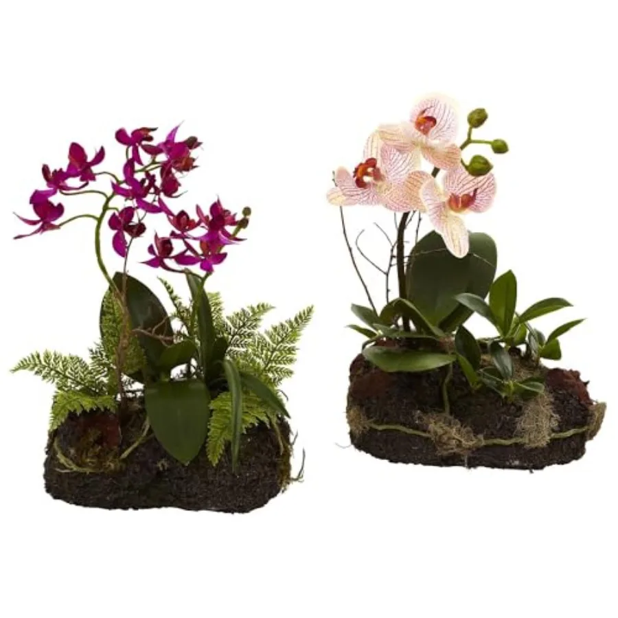 Orchid Island Set of 2
Orchid Island Set of 2