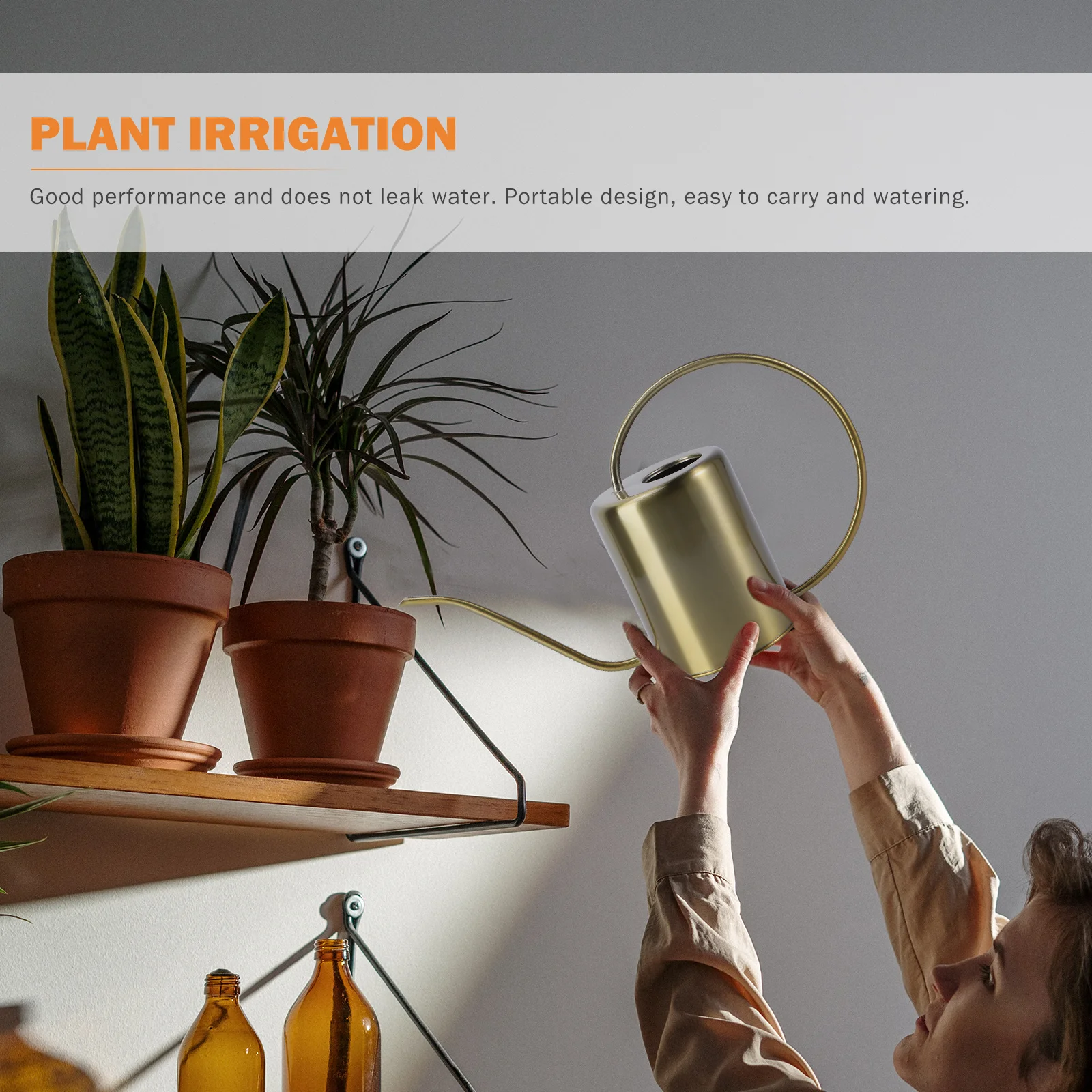 Латунная лейка, золотой длинный носик, садовый чайник из нержавеющей стали, распылитель для цветов для домашнего использования, практичный лейка, садовый инструмент
Латунная лейка, золотой длинный носик, садовый чайник из нержавеющей стали, распылитель для цветов для домашнего использования, практичный лейка, садовый инструмент