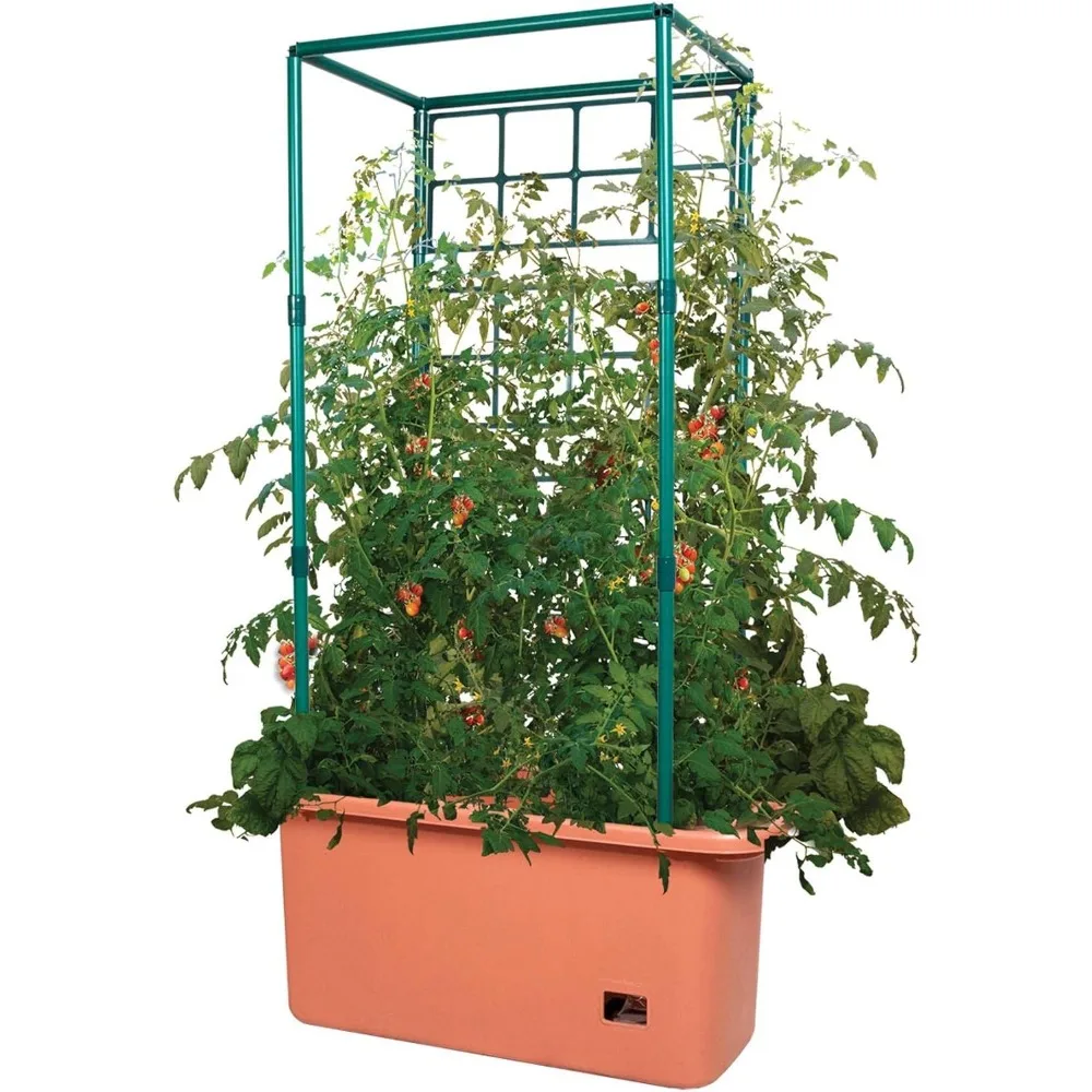 Система для выращивания томатов GCTR 10 Gal с 4-футовой опорной башней на колесах для вьющихся растений и цветов в помещении и на улице
Система для выращивания томатов GCTR 10 Gal с 4-футовой опорной башней на колесах для вьющихся растений и цветов в помещении и на улице