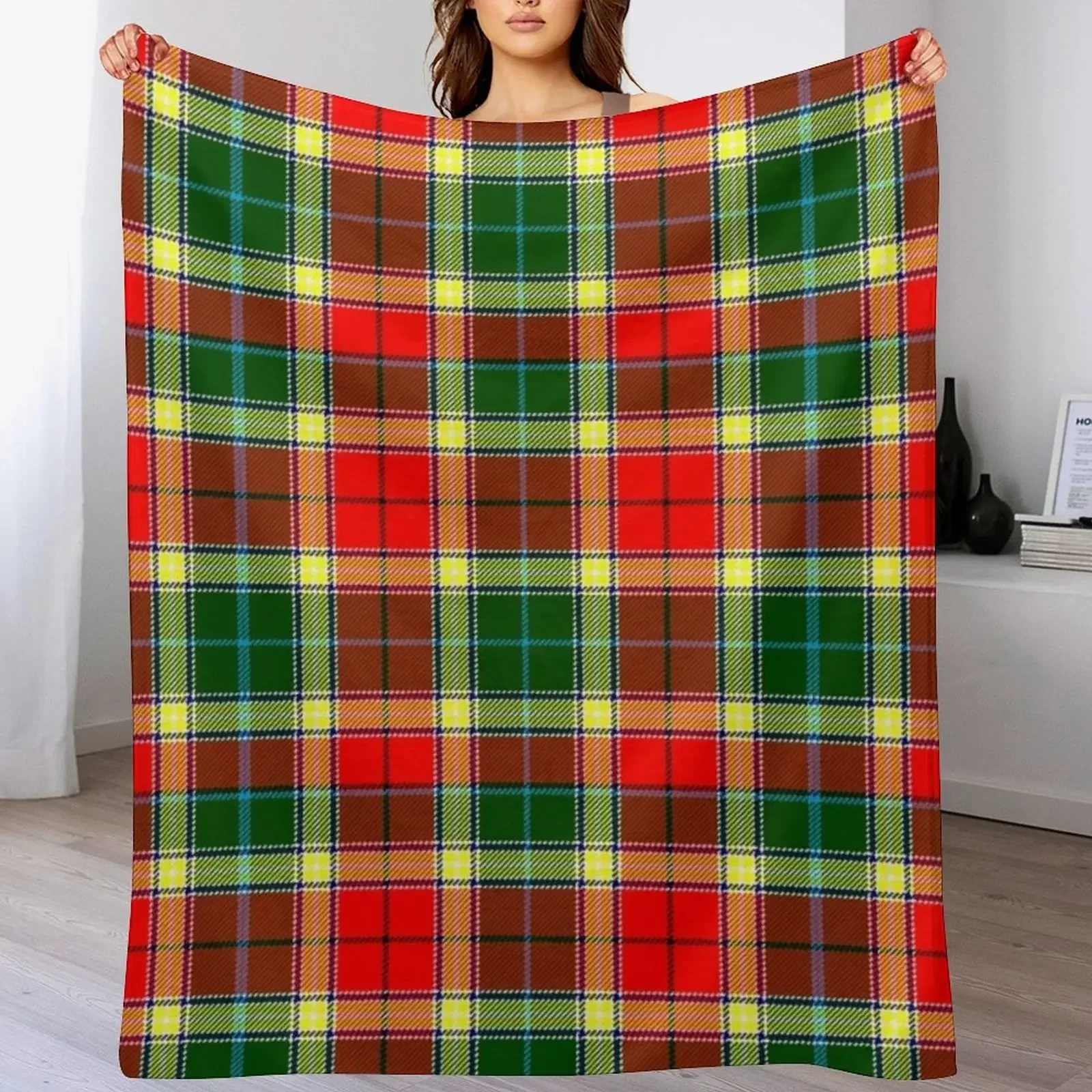 Clan Gibbs surname last name Scottish Clan tartan Throw Blanket Reusable Durable Soft Blanket for All Seasons
Clan Gibbs surname last name Scottish Clan tartan Throw Blanket Reusable Durable Soft Blanket for All Seasons