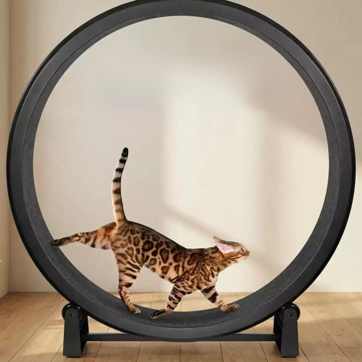 Cat Treadmill Cat Climbing Frame Cat Training Silent Silky
Cat Treadmill Cat Climbing Frame Cat Training Silent Silky