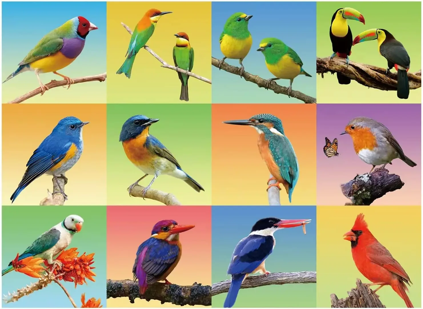 Adult Wooden Puzzle 1000/500/300 Pieces Animal Birds Jigsaw Puzzles for Gameroom Bedroom Party Birthday Gift Challenging Game
Adult Wooden Puzzle 1000/500/300 Pieces Animal Birds Jigsaw Puzzles for Gameroom Bedroom Party Birthday Gift Challenging Game