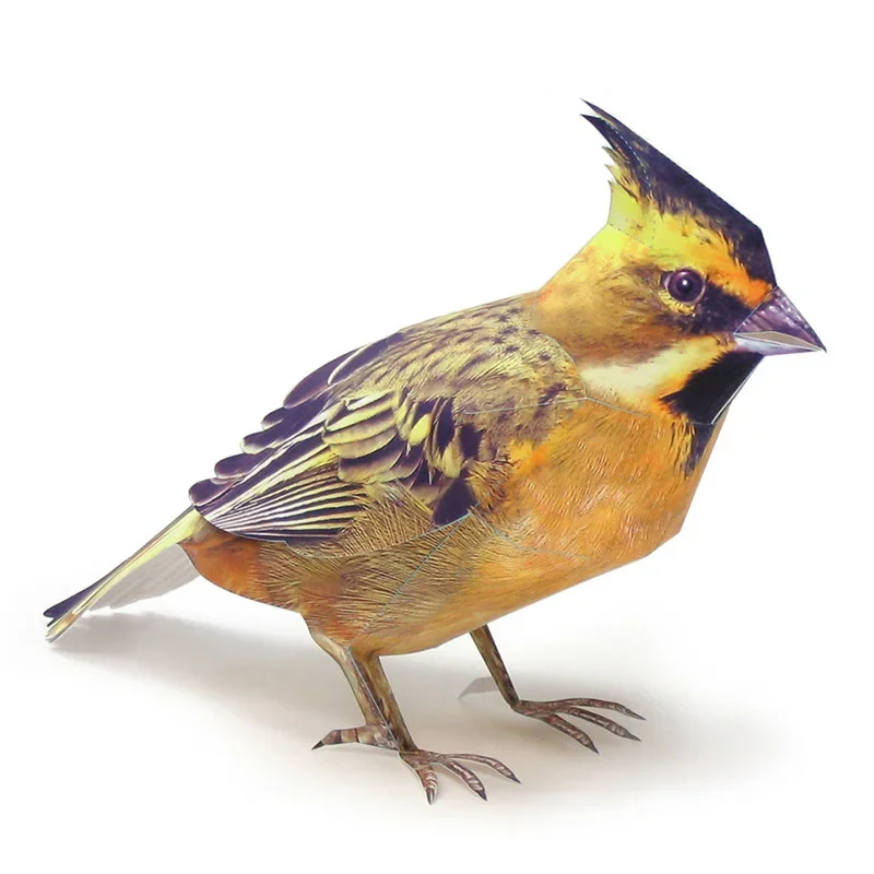 Yellow-throated bunting bird Origami Art Mini Cute 3D Paper Model Papercraft Realistic Animal DIY Kids Adult Craft Toys WE-002
Yellow-throated bunting bird Origami Art Mini Cute 3D Paper Model Papercraft Realistic Animal DIY Kids Adult Craft Toys WE-002