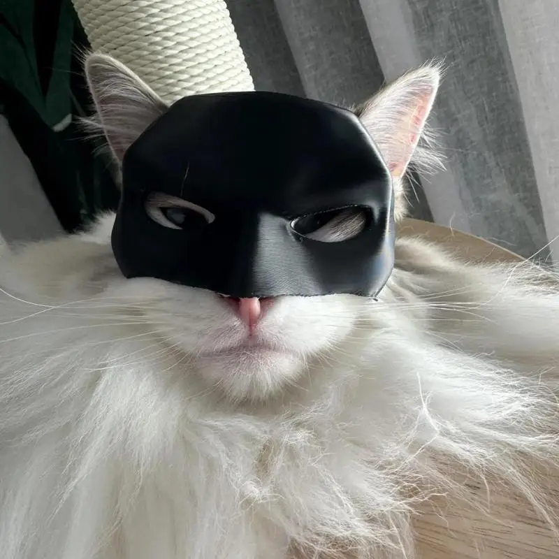 New Bat Cat Mask Cosplay Hat Cat toys Ornament Horror Bat Cat Masks Pet Supplies Decoration For Cats pets
New Bat Cat Mask Cosplay Hat Cat toys Ornament Horror Bat Cat Masks Pet Supplies Decoration For Cats pets
