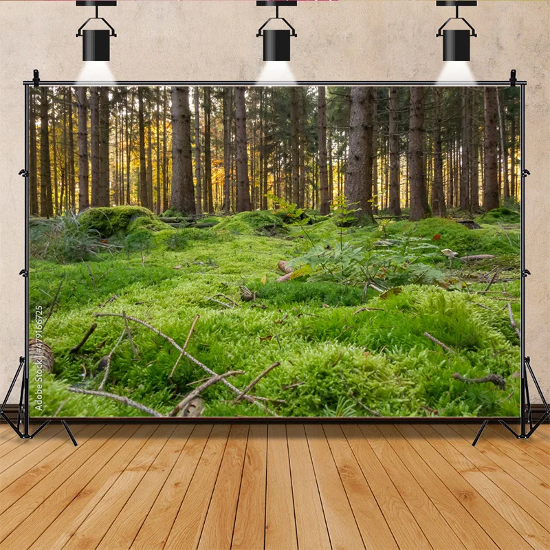 Tropical Rainforest Coniferous Forest Moss Fallen Tree Photography Backdrops Prop Jungle Nature Landscape Theme Background ZL-14
Tropical Rainforest Coniferous Forest Moss Fallen Tree Photography Backdrops Prop Jungle Nature Landscape Theme Background ZL-14