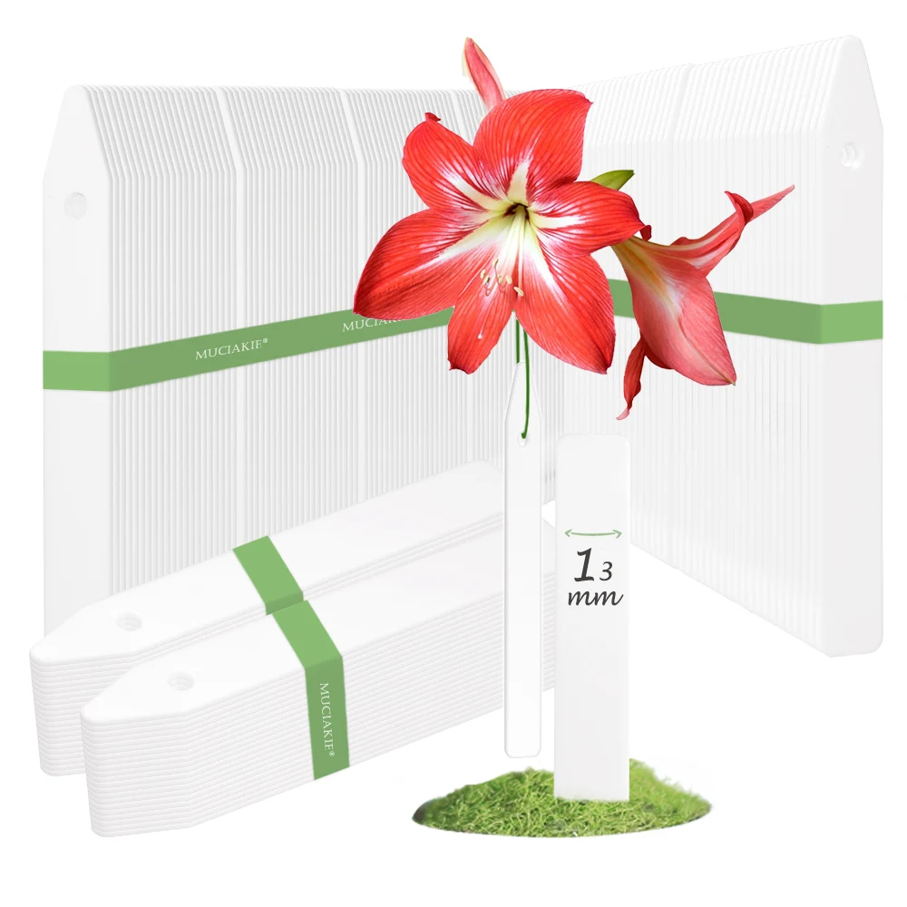 10-500PCS 10.3x1.3CM Thick Plant Long Tags w/ Hole Hanging Garden Label White Reusable Flower Classification Sign Recording Card
10-500PCS 10.3x1.3CM Thick Plant Long Tags w/ Hole Hanging Garden Label White Reusable Flower Classification Sign Recording Card