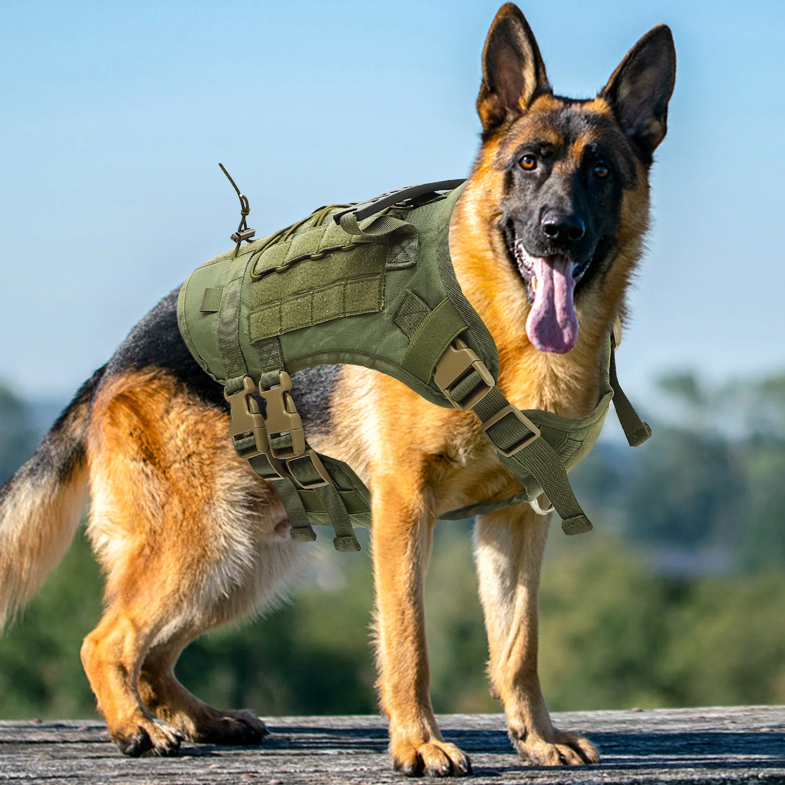 Oxford Cloth Dog Harness Vest for Large Breeds Tear Resistant Lightweight Pet Walking Training Accessory Green Police Style Dog
Oxford Cloth Dog Harness Vest for Large Breeds Tear Resistant Lightweight Pet Walking Training Accessory Green Police Style Dog