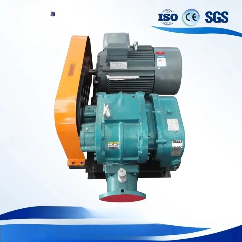 High Quality Roots Type Blower Industrial Roots Vacuum Pump for Degassing Aeration
High Quality Roots Type Blower Industrial Roots Vacuum Pump for Degassing Aeration