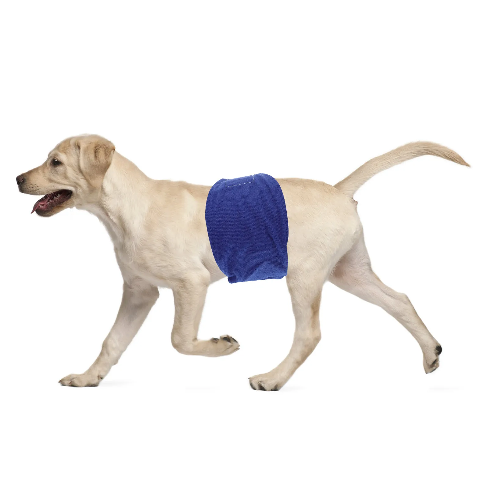 1 шт. пояс-бандаж для кобелей, большой размер, легкий, удобный, многоразовый, гигиеническое белье для животных, моющийся, для ежедневного использования
1 шт. пояс-бандаж для кобелей, большой размер, легкий, удобный, многоразовый, гигиеническое белье для животных, моющийся, для ежедневного использования