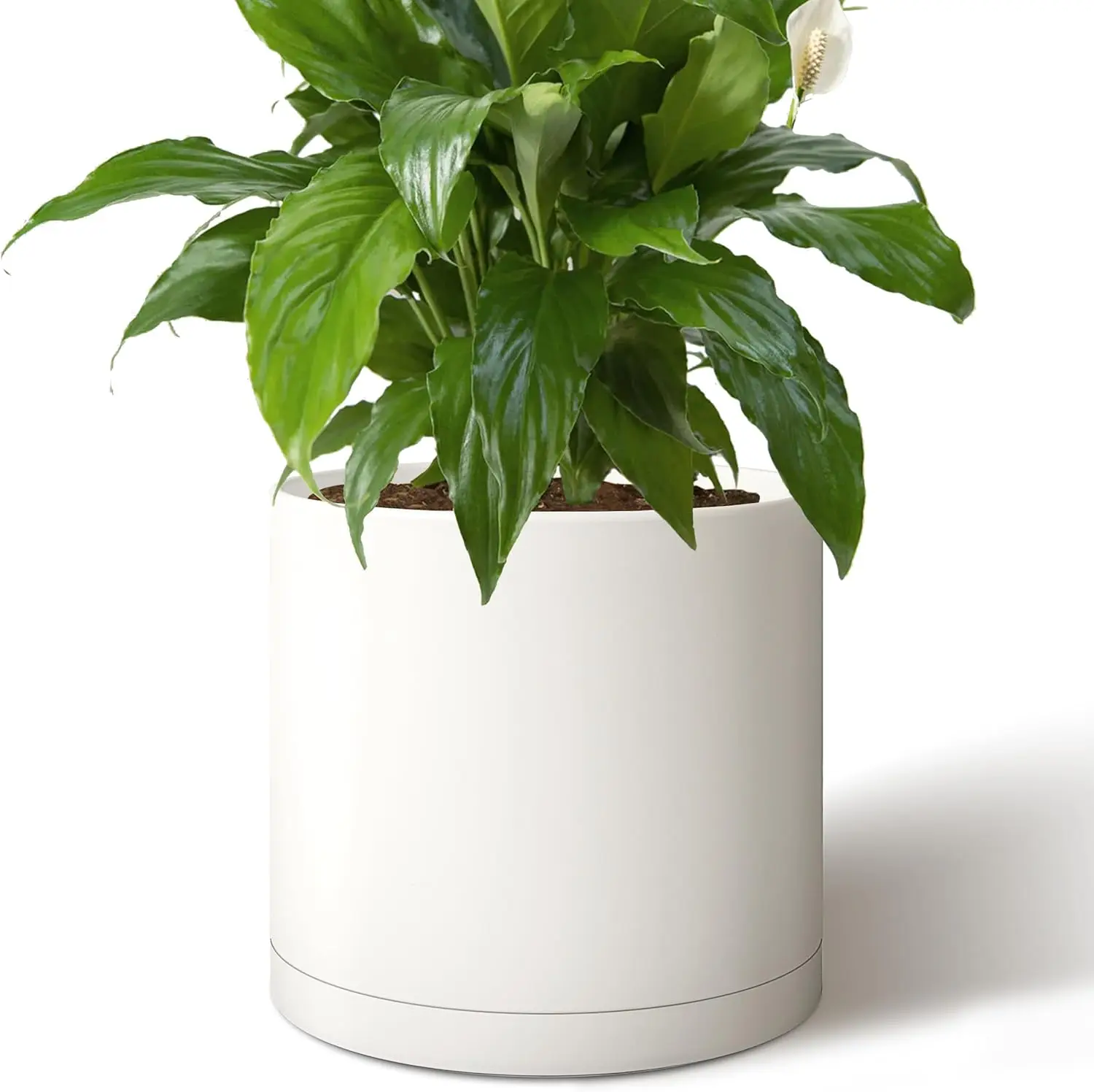 14 Inch Cylinder Plant Pot, Modern Round Planter with Drainage Holes and Saucer, Durable Plastic for Indoor Outdoor Plants, White
14 Inch Cylinder Plant Pot, Modern Round Planter with Drainage Holes and Saucer, Durable Plastic for Indoor Outdoor Plants, White