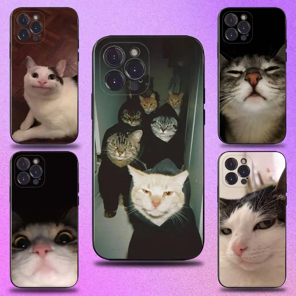 Cute Funny Cat Meme Phone Case For iPhone 16,15,14,13,12,11 Plus,Pro Max,XS,X,XR,SE,Mini,8,7,Soft Silicone Black Cover
Cute Funny Cat Meme Phone Case For iPhone 16,15,14,13,12,11 Plus,Pro Max,XS,X,XR,SE,Mini,8,7,Soft Silicone Black Cover