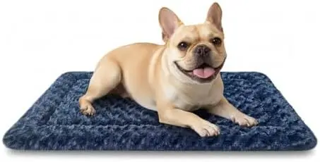Dual-Sided Dog Bed Mat - 24" x 16" Soft Washable Crate Pad for Small Dogs, Dark Blue
Dual-Sided Dog Bed Mat - 24" x 16" Soft Washable Crate Pad for Small Dogs, Dark Blue