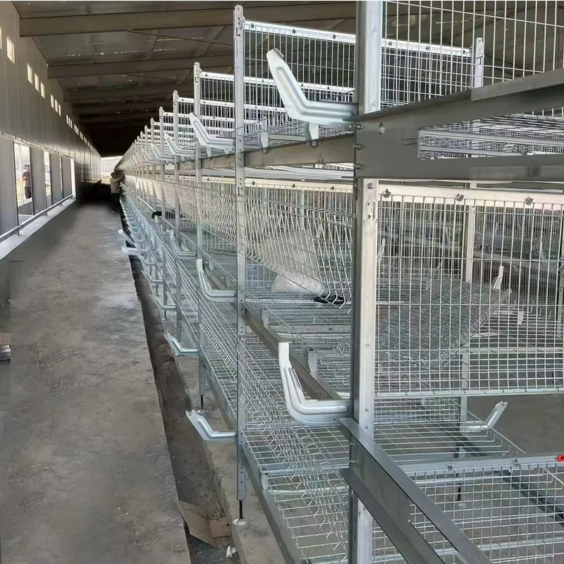Long-lasting Layer Coop System Broiler Chicken Cage Cages for Broiler Chicken
Long-lasting Layer Coop System Broiler Chicken Cage Cages for Broiler Chicken