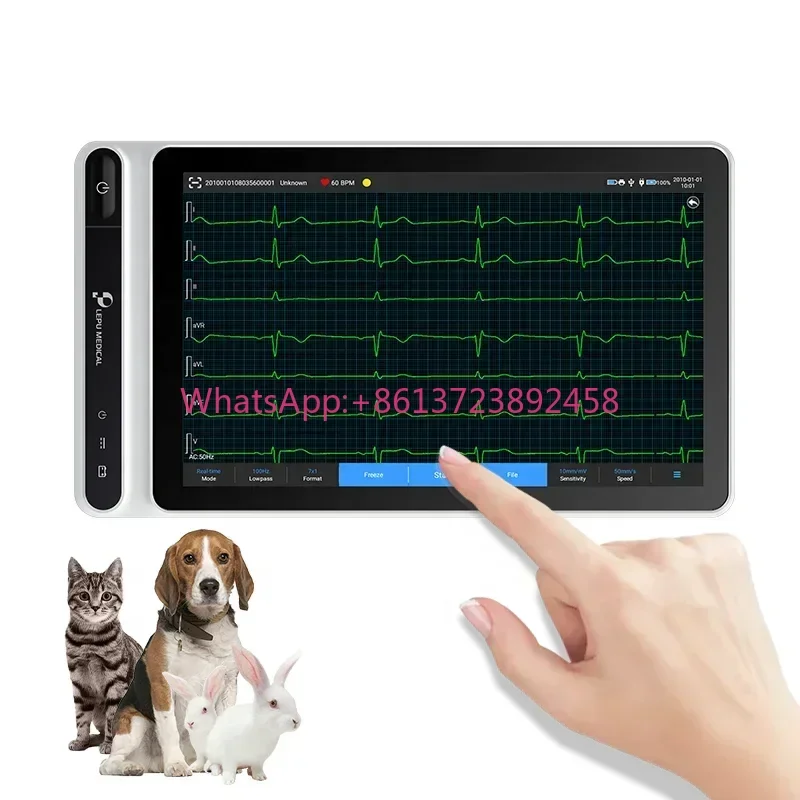Mobile Handheld Heart Holter Echocardiography Canine mo Vet Machine Pet Echocardiogram For Dogs