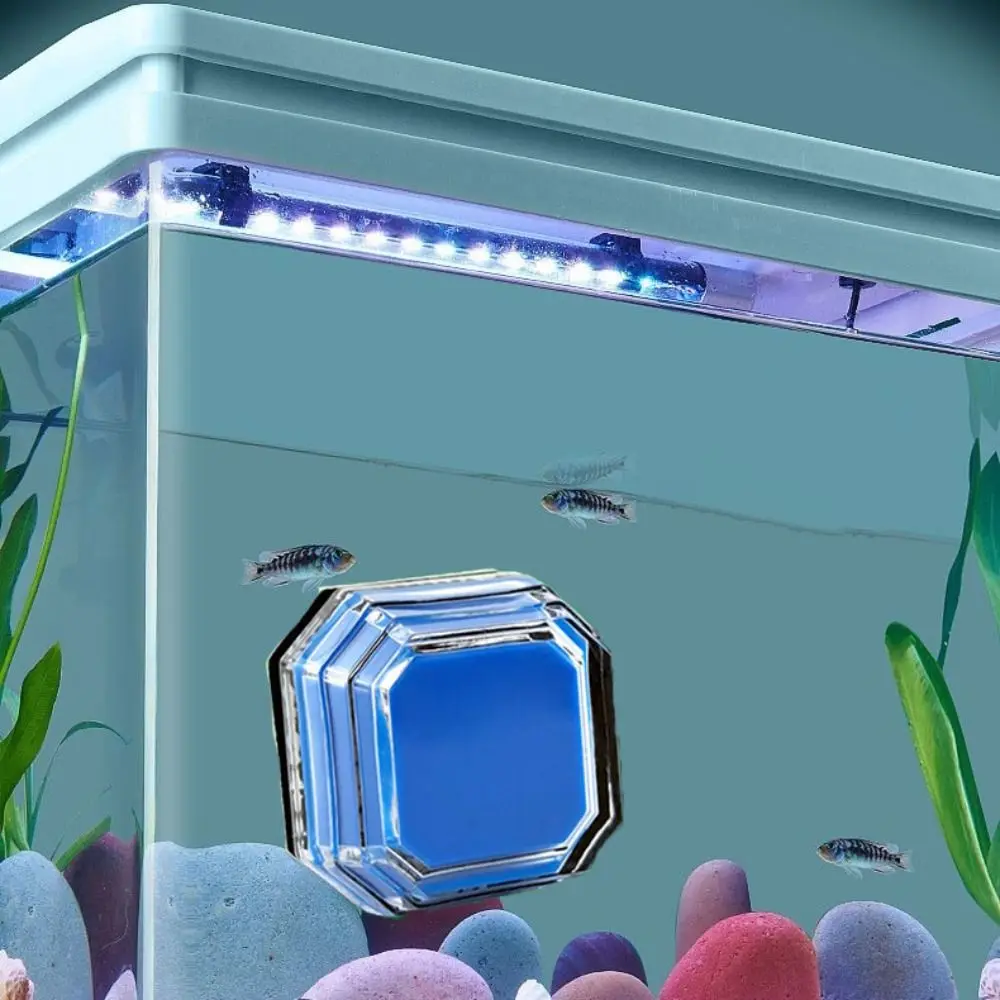8mm Aquarium Magnetic Brush Strong Magnetic Mini Fish Tank Brush Plastic Double-sided Cleaning Glass Floating Algae Scraper
8mm Aquarium Magnetic Brush Strong Magnetic Mini Fish Tank Brush Plastic Double-sided Cleaning Glass Floating Algae Scraper