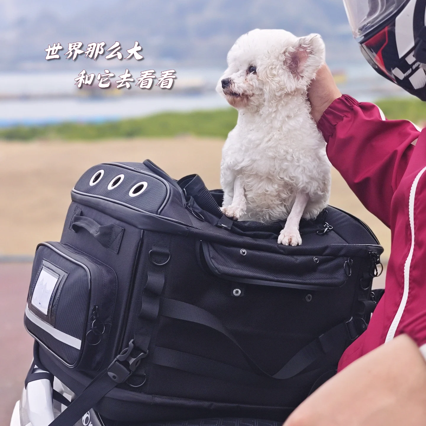 Motorcycle pet bag trunk rear seat waterproof electric bike with dog artifact breathable large space for outdoor cycling
Motorcycle pet bag trunk rear seat waterproof electric bike with dog artifact breathable large space for outdoor cycling