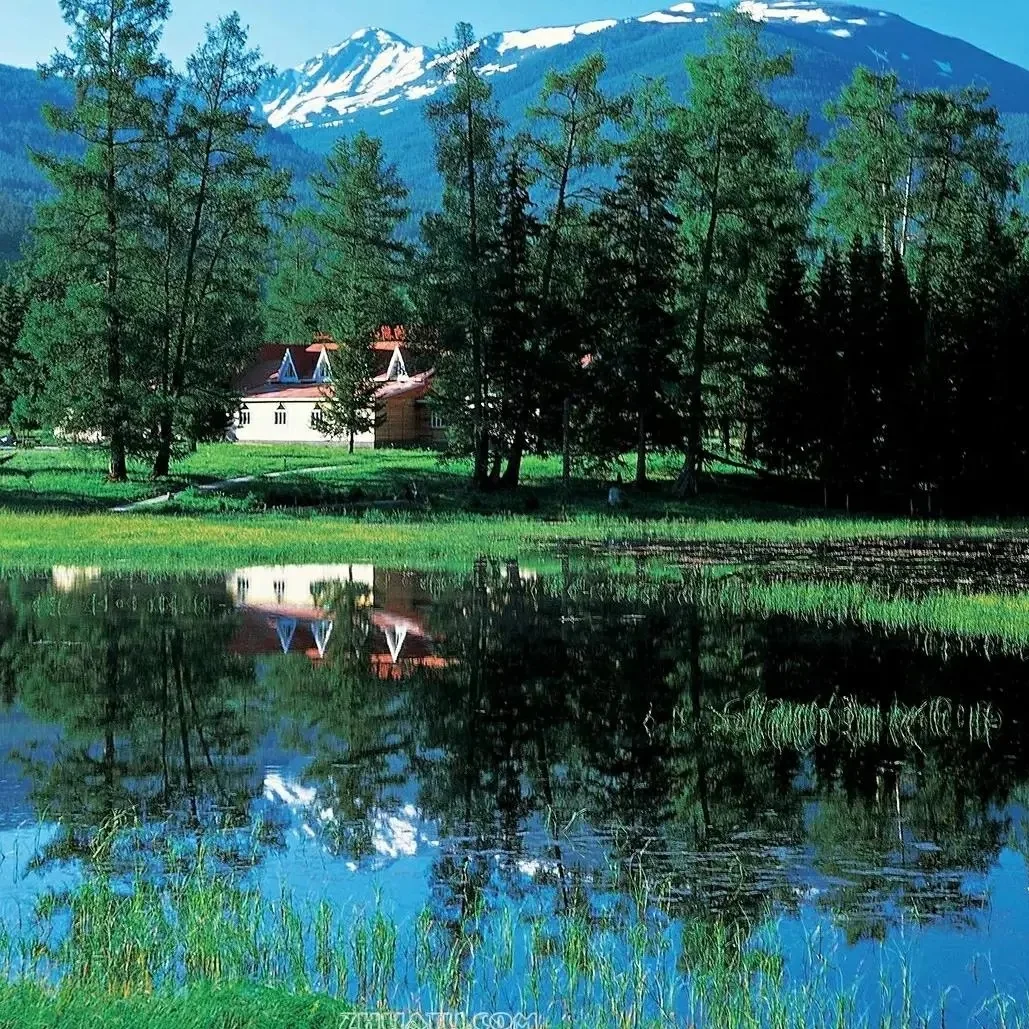 Air Touch LCD AC Panel For Land Rover Range Rover Vogue V8 L322 2005-2009 2010 2011 2012 Climate Board Condition Control Screen
Air Touch LCD AC Panel For Land Rover Range Rover Vogue V8 L322 2005-2009 2010 2011 2012 Climate Board Condition Control Screen