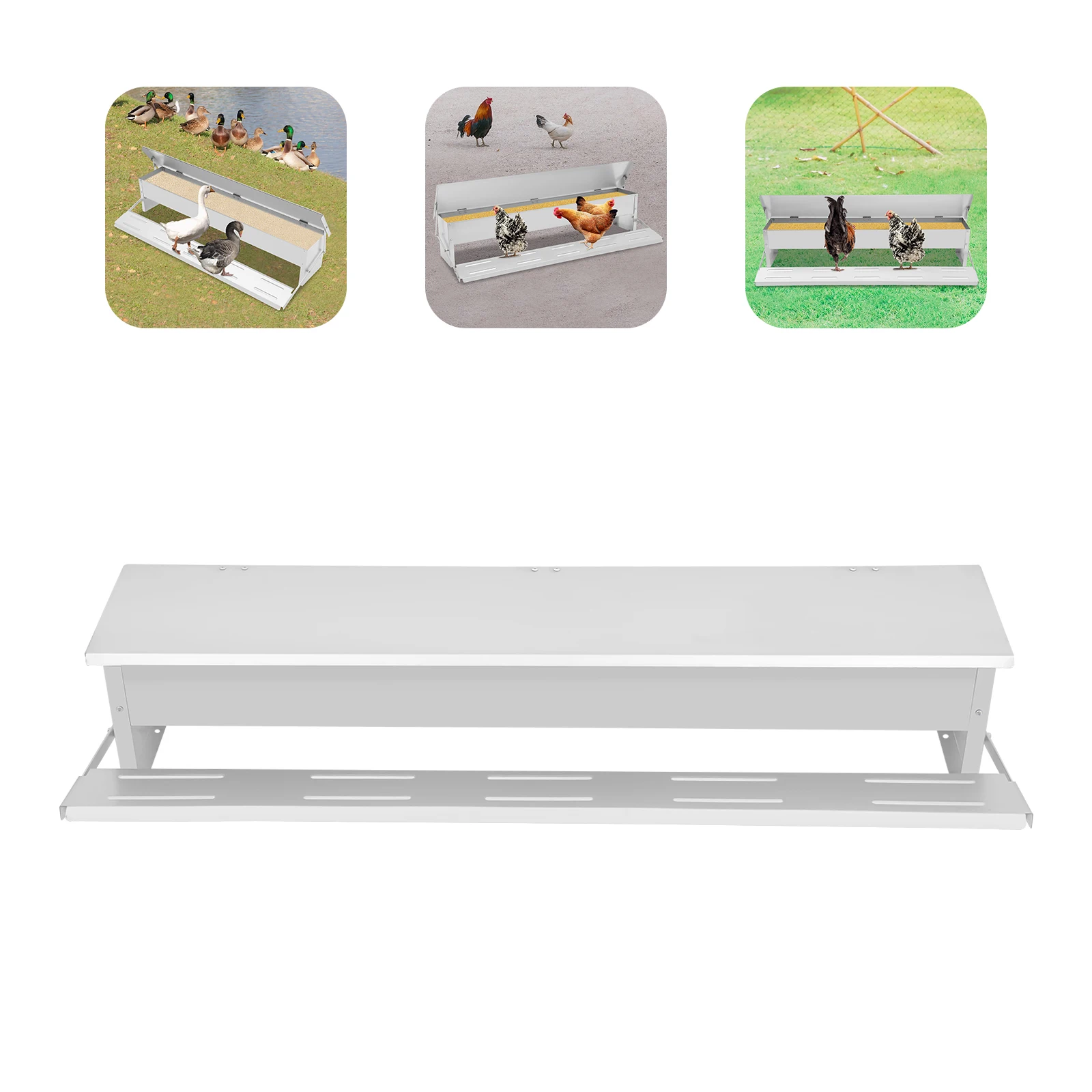 Automatic Chicken Feeder, 10kg Capacity Poultry Trough Floor Standing Galvanized Sheet with Weatherproof Lid for Pheasants Ducks
Automatic Chicken Feeder, 10kg Capacity Poultry Trough Floor Standing Galvanized Sheet with Weatherproof Lid for Pheasants Ducks