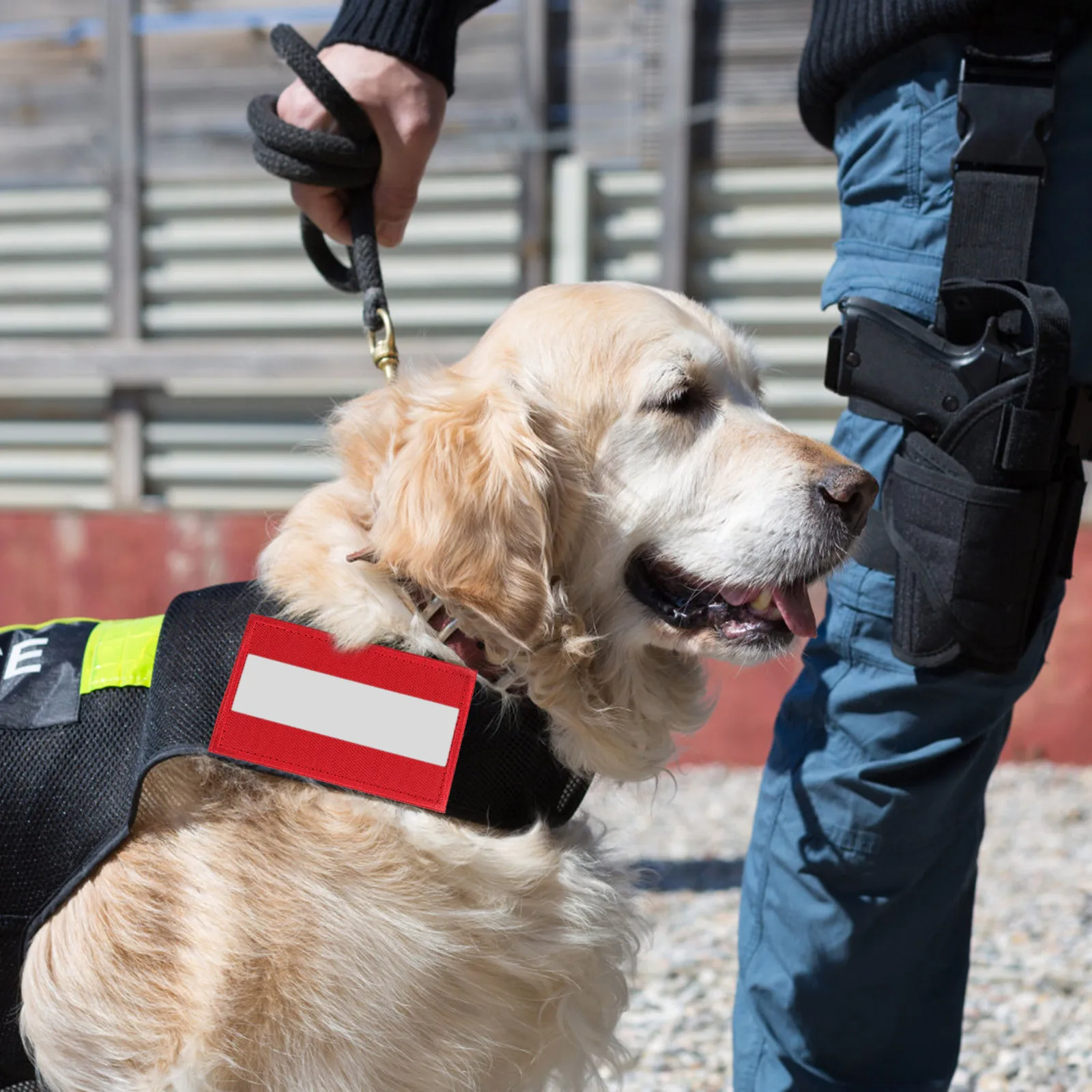 2Pcs Reflective Patch Clothes Band Professional Craftsmanship Self-Adhesive Reflective Safety Patch for Jackets Bags Hats Night
2Pcs Reflective Patch Clothes Band Professional Craftsmanship Self-Adhesive Reflective Safety Patch for Jackets Bags Hats Night