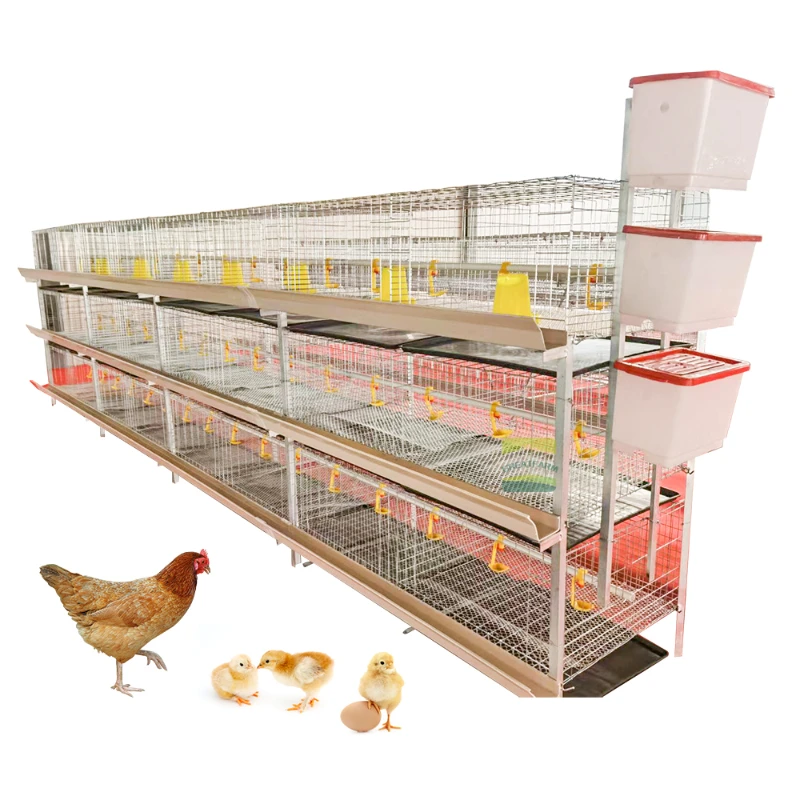 New Product Automatic Pullet Chick Battery Cage Chicken Nesting Box Provided Coops H Type Layer 1503
New Product Automatic Pullet Chick Battery Cage Chicken Nesting Box Provided Coops H Type Layer 1503